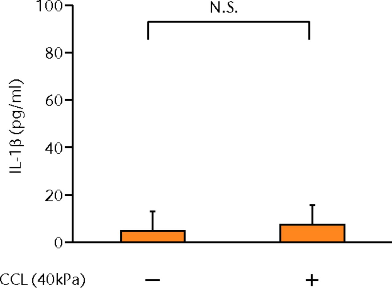 Figs. 2a - 2g 
            Graphs showing the
expressions of PGE2 and related molecules by cyclic compressive
loading. a) PGE2 was significantly upregulated by cyclic compressive
loading, interleukin- (IL-)1β, or tumour necrosis factor- (TNF)-α (n =
7). b) IL-6 (n = 6) and c) IL-8 (n = 6) were significantly upregulated
by cyclic compressive loading. d) IL-1β (n = 6) and e) TNF-α (n
= 6) were not upregulated by cyclic compressive loading. f) COX-2
(n = 6) and g) mPGES-1 (n = 5) mRNA levels were significantly upregulated
by cyclic compressive loading (CCL;cyclic compressive loading)*p
<
 0.01.
          