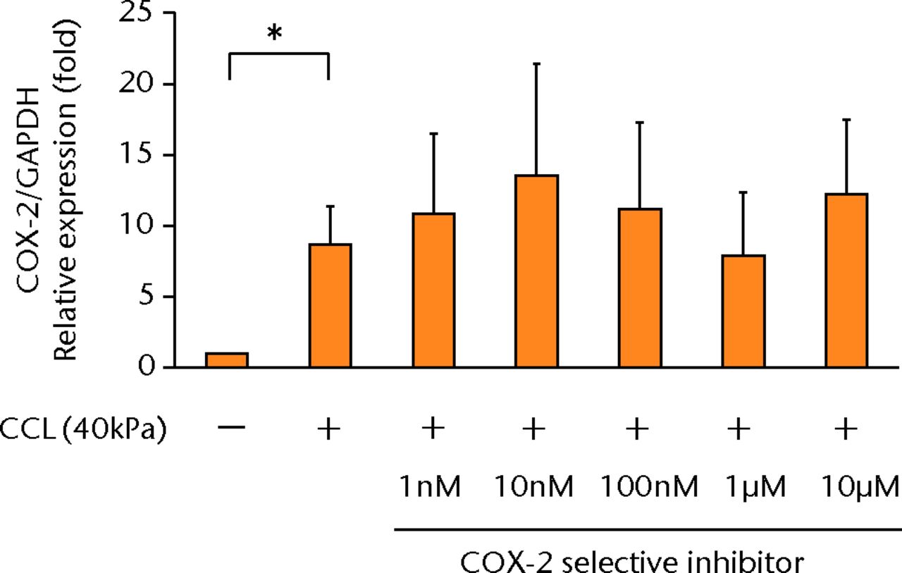 Figs. 3a - 3d 
            a) The increased concentration
of PGE2 by cyclic compressive loading was impeded in a dose-dependent
manner (n = 8). b) The increased concentrations of IL-6 (n = 7)
and c) IL-8 (n = 5) by cyclic compressive loading remained high.
d) The upregulation of COX-2 mRNA levels by cyclic compressive loading
was not suppressed by a COX-2 selective inhibitor (n = 5). *p <
0.01
          