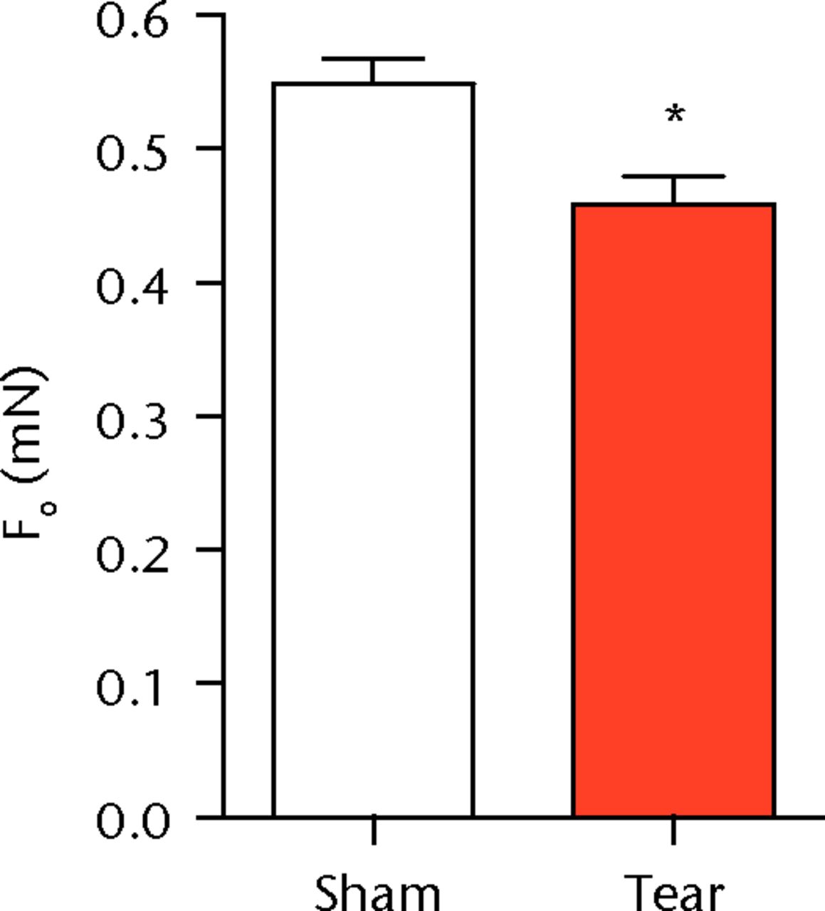 Figs. 1a - 1c 
          Graphs showing permeabilised
muscle fibre size and contractile force. Figure 1a - Permeabilised
fibre cross-sectional area (CSA); Figure 1b - maximum isometric
force (Fo) and figure 1c - specific force (sFo) of sham-operated
control and torn rotator cuff muscles. Values are mean and sem.
n = 5 muscles from each group. * different from sham-operated control
group (p <
 0.05). 
        