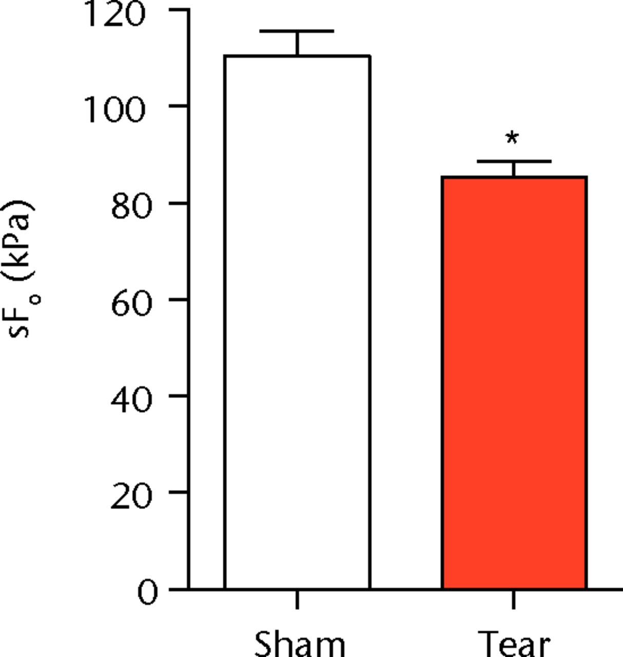 Figs. 1a - 1c 
          Graphs showing permeabilised
muscle fibre size and contractile force. Figure 1a - Permeabilised
fibre cross-sectional area (CSA); Figure 1b - maximum isometric
force (Fo) and figure 1c - specific force (sFo) of sham-operated
control and torn rotator cuff muscles. Values are mean and sem.
n = 5 muscles from each group. * different from sham-operated control
group (p <
 0.05). 
        