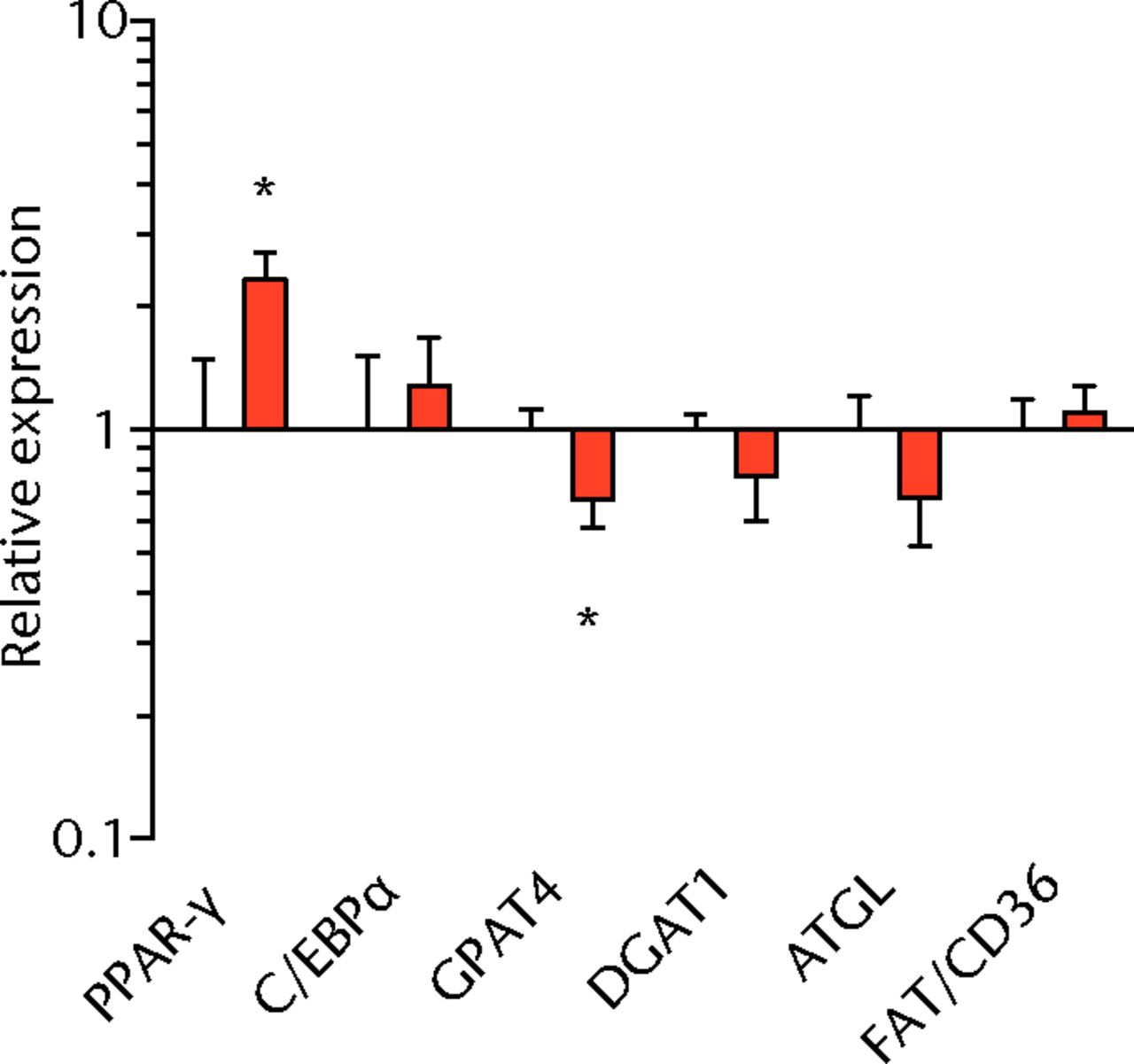 Figs. 3a - 3f 
          Graphs showing mRNA
expression. Expression of genes associated with a) adipogenesis,
b) lipid storage, c) extracellular matrix synthesis and fibrosis,
d) autophagy, e) inflammation and atrophy and f) macrophage and
fatty macrophage accumulation. Target gene expression was normalised
to ß-actin. Sham-operated control values are plotted on the left,
and torn muscles are plotted on the right and shown in orange. Values
are mean and sem. n = 5 muscles from each group. * significantly different
from sham-operated control group (p <
 0.05).
        