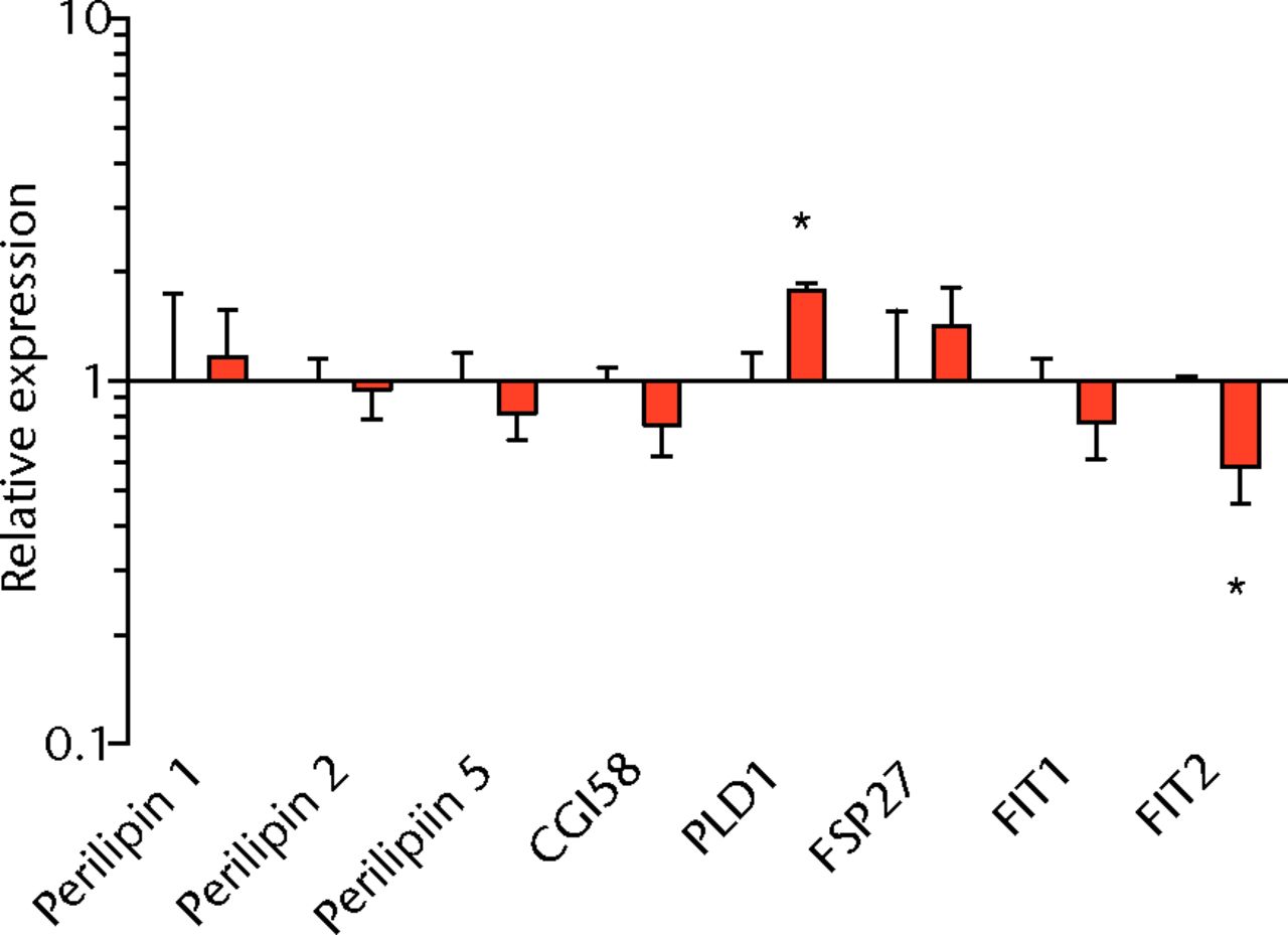 Figs. 3a - 3f 
          Graphs showing mRNA
expression. Expression of genes associated with a) adipogenesis,
b) lipid storage, c) extracellular matrix synthesis and fibrosis,
d) autophagy, e) inflammation and atrophy and f) macrophage and
fatty macrophage accumulation. Target gene expression was normalised
to ß-actin. Sham-operated control values are plotted on the left,
and torn muscles are plotted on the right and shown in orange. Values
are mean and sem. n = 5 muscles from each group. * significantly different
from sham-operated control group (p <
 0.05).
        