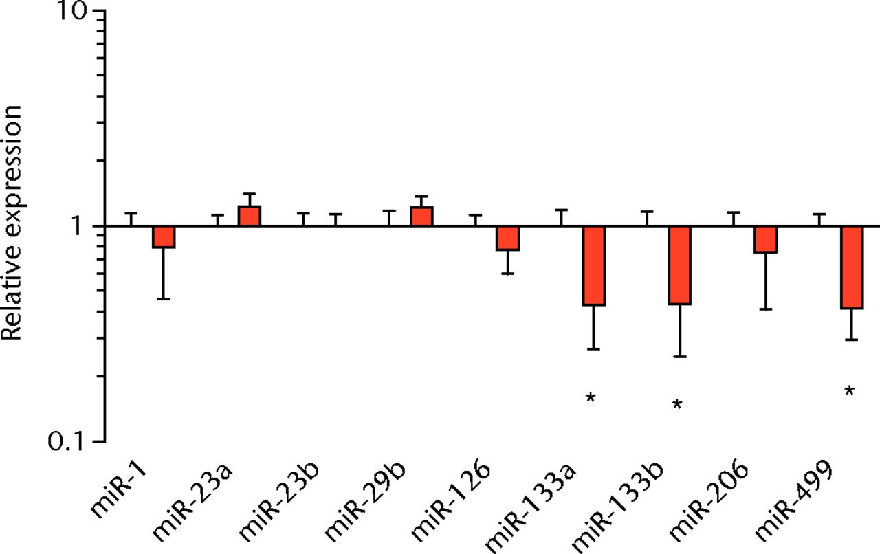 Figs. 4a - 4d 
          Graphs showing miRNA expression.
Expression of miRNAs associated with a) muscle adaptation, b) lipid
storage and synthesis, c) fibrosis and extracellular matrix synthesis
and d) the let-7 cluster. Target miRNA expression was normalised
to Rnu6. Sham-operated control values are plotted on the left, and
torn muscles are plotted on the right and shown in orange. Values
are mean and sem; n = 5 muscles from each group. * significantly
different from sham-operated control group (p <
 0.05).
        