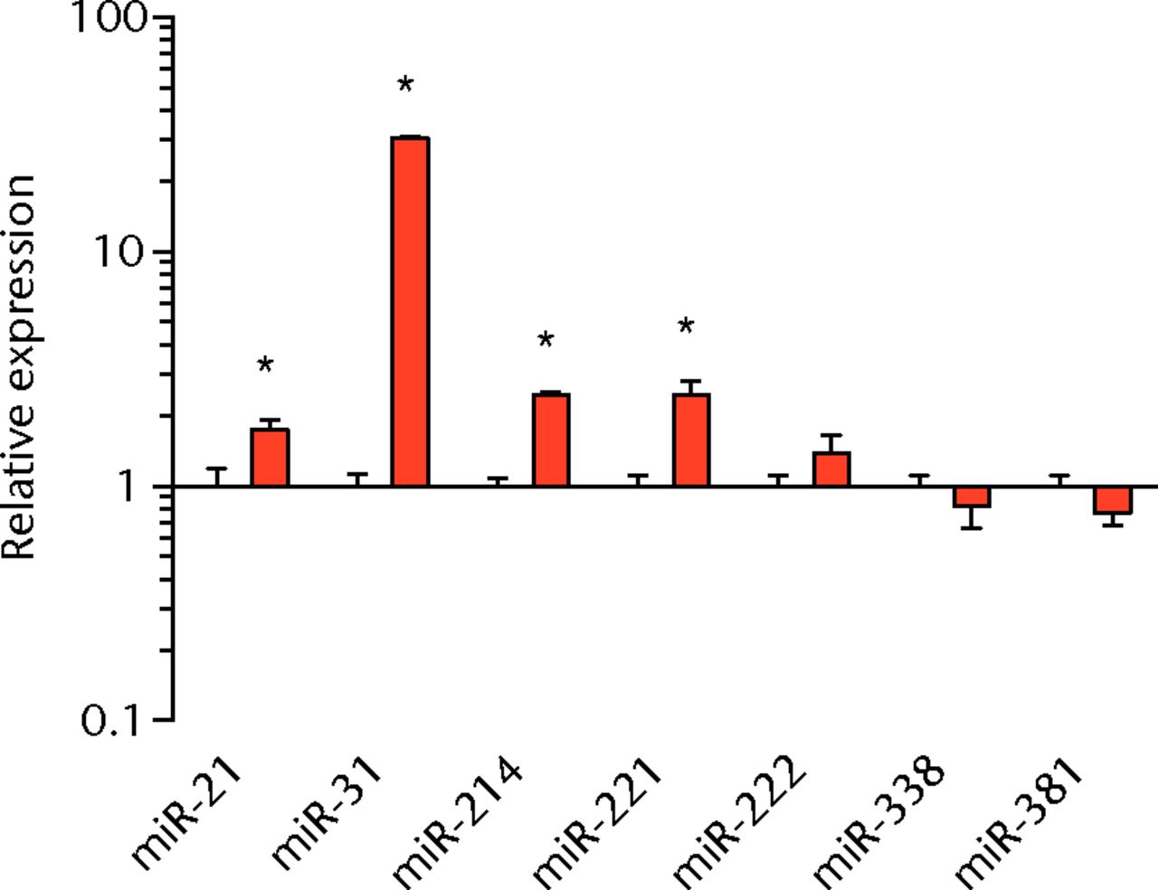 Figs. 4a - 4d 
          Graphs showing miRNA expression.
Expression of miRNAs associated with a) muscle adaptation, b) lipid
storage and synthesis, c) fibrosis and extracellular matrix synthesis
and d) the let-7 cluster. Target miRNA expression was normalised
to Rnu6. Sham-operated control values are plotted on the left, and
torn muscles are plotted on the right and shown in orange. Values
are mean and sem; n = 5 muscles from each group. * significantly
different from sham-operated control group (p <
 0.05).
        