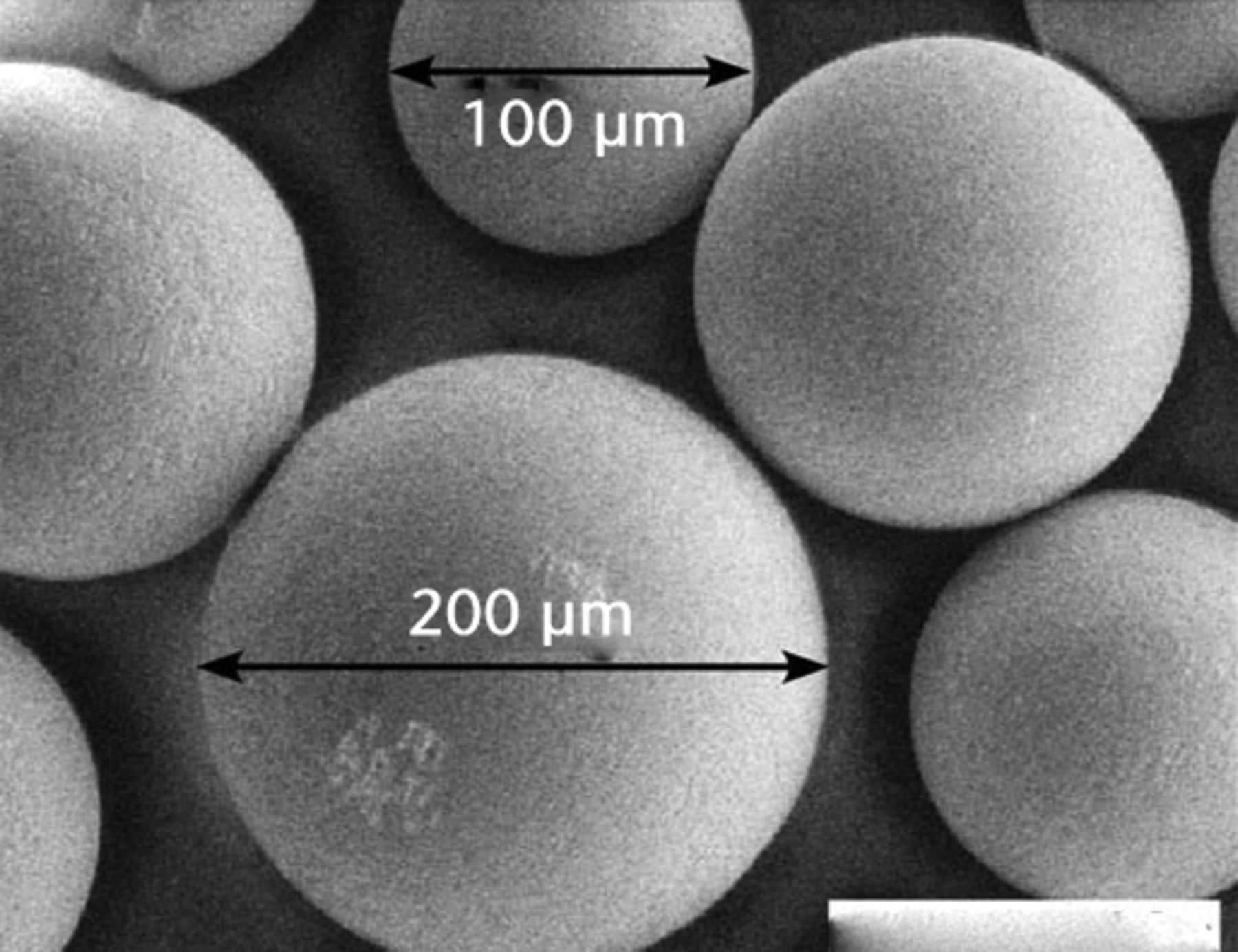 Figs. 2a - 2c 
            SEM imaging showed particulate
morphologies including a) cobalt–chrome beads (mag. × 1000), b)
titanium alloy particles (mag. × 100) and c) flakes of polymerised
cement (mag. × 100).
          