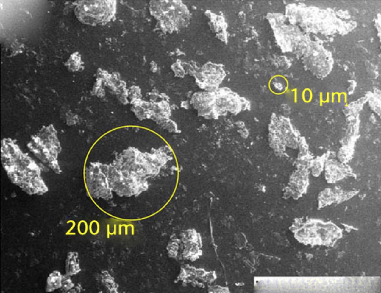 Figs. 2a - 2c 
            SEM imaging showed particulate
morphologies including a) cobalt–chrome beads (mag. × 1000), b)
titanium alloy particles (mag. × 100) and c) flakes of polymerised
cement (mag. × 100).
          