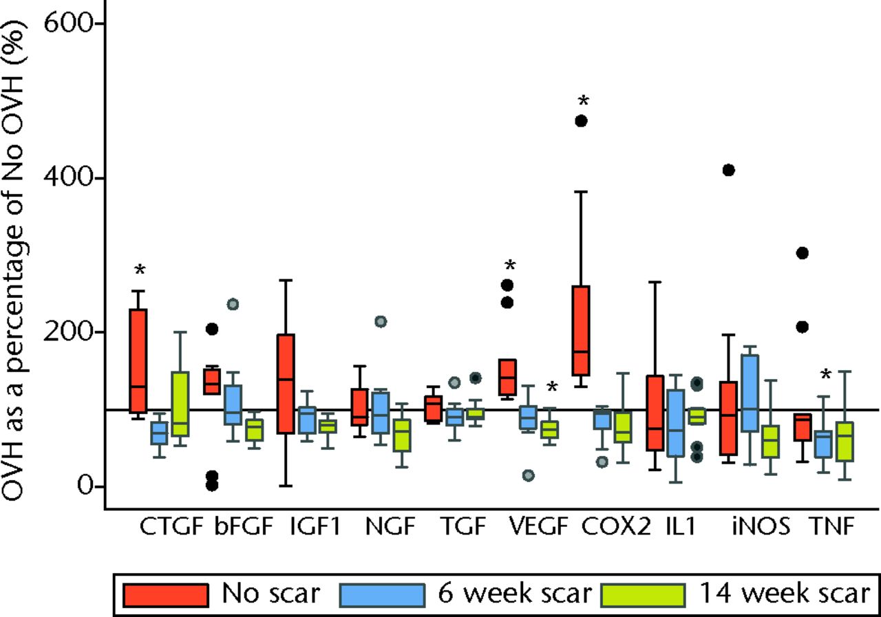 Figs. 2a - 2b 
            Graphs showing surgical menopause
in normal and healing ligaments for a) collagens, proteoglycans,
proteinases, hormone receptors and b) growth factors and inflammatory
mediators. (* OVH different from No OVH; p ≤ 0.05. Horizontal reference
line is 100% OVH as a percentage of No OVH; bFGF, basic fibroblast
growth factor; Big, biglycan; CathK, cathepsin K proteinase; COL,
collagen; COX2, cyclooxygenase 2; CTGF, connective tissue growth
factor; Dec, decorin; ER, oestrogen receptor; IGF1, insulin-like
growth factor type 1; IL1, interleukin 1 beta; iNOS, inducible nitric
oxide synthase; MMP, matrix metalloproteinase; NGF, nerve growth
factor; OVH, ovariohysterectomy; PR, progesterone receptor; TGF,
transforming growth factor; TNF, tumour necrosis factor; VEGF, vascular
endothelial growth factor).
          