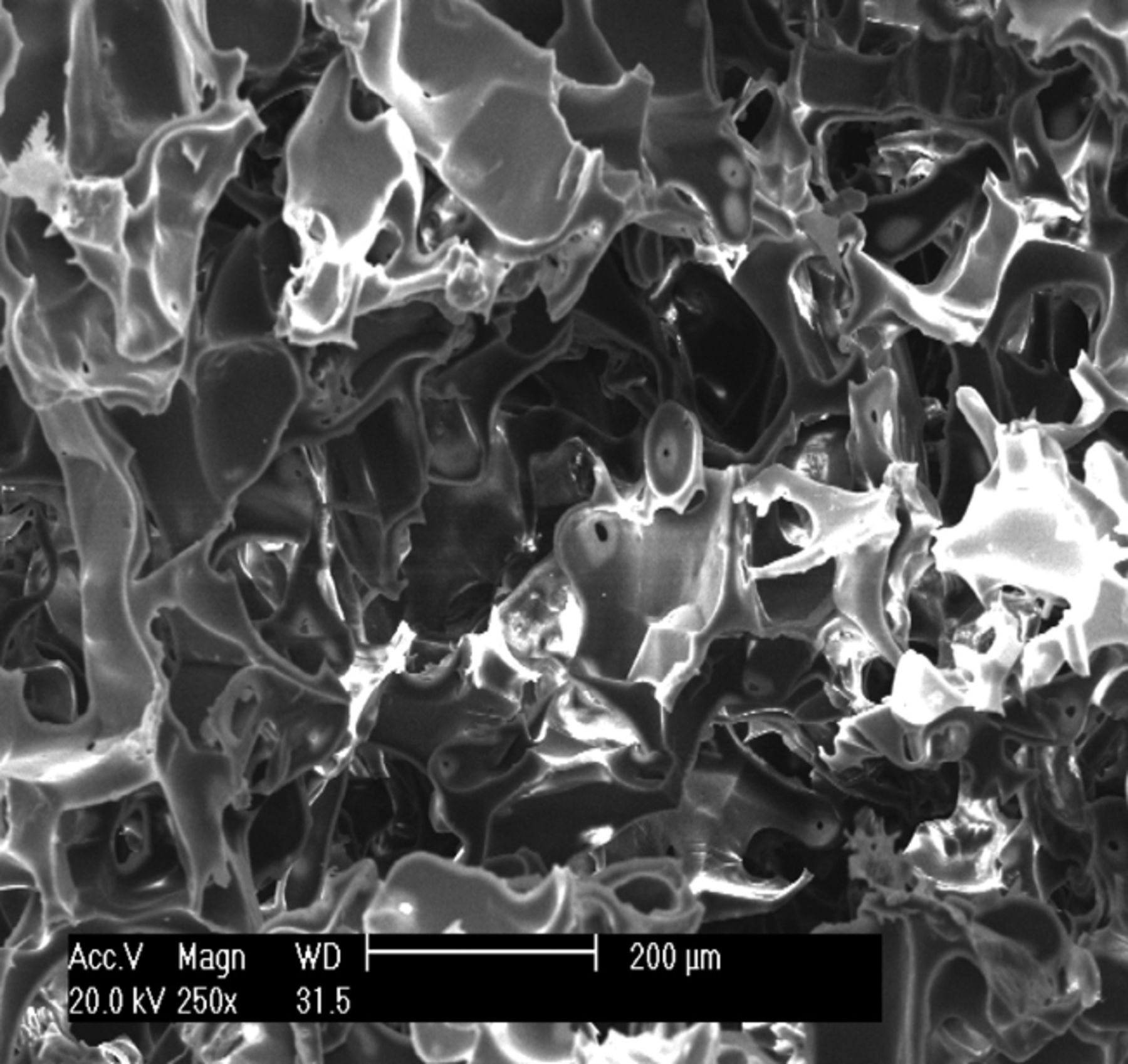 Figs. 1a - 1c 
          Scanning electron microscope
micrographs of the osteochondral scaffold (× 250) showing a) the
upper surface of the scaffold, b) the lower surface of the scaffold
and c) a cross section of the scaffold.
        