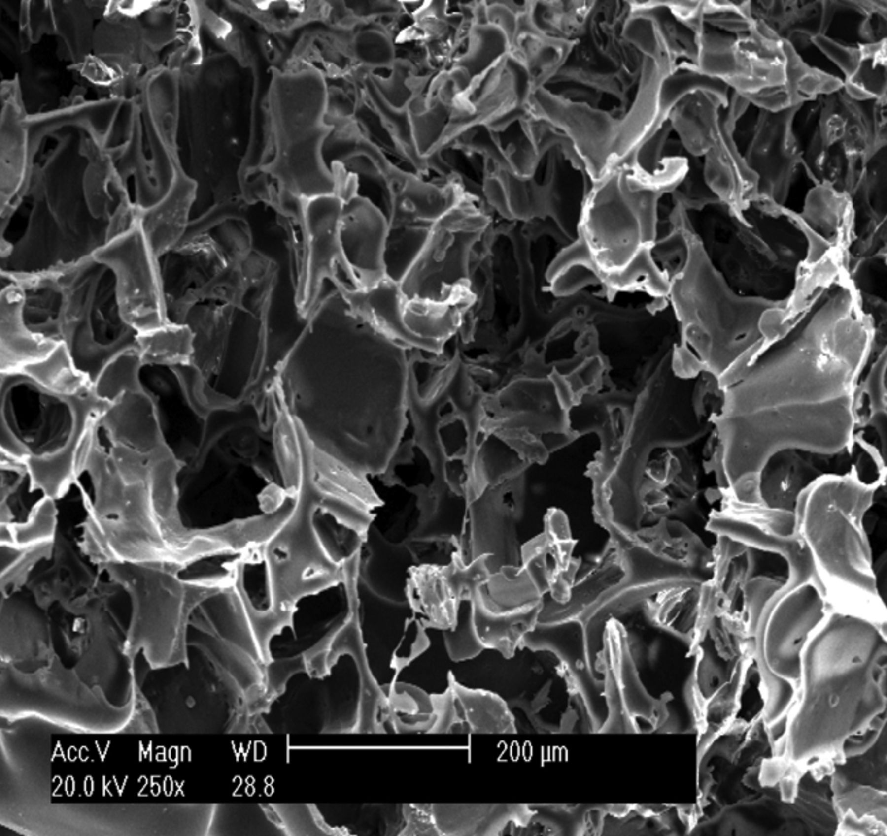 Figs. 1a - 1c 
          Scanning electron microscope
micrographs of the osteochondral scaffold (× 250) showing a) the
upper surface of the scaffold, b) the lower surface of the scaffold
and c) a cross section of the scaffold.
        