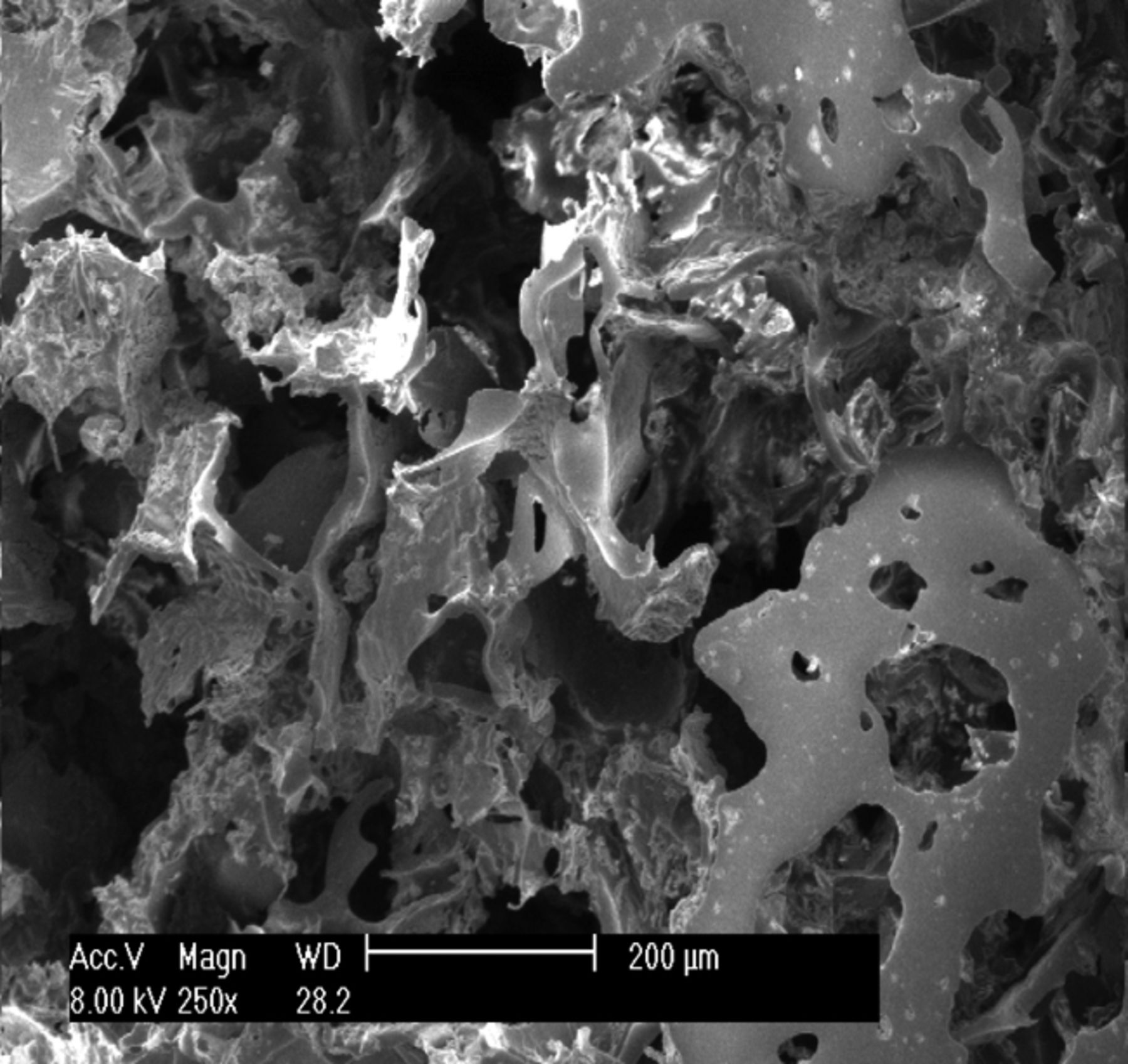 Figs. 1a - 1c 
          Scanning electron microscope
micrographs of the osteochondral scaffold (× 250) showing a) the
upper surface of the scaffold, b) the lower surface of the scaffold
and c) a cross section of the scaffold.
        