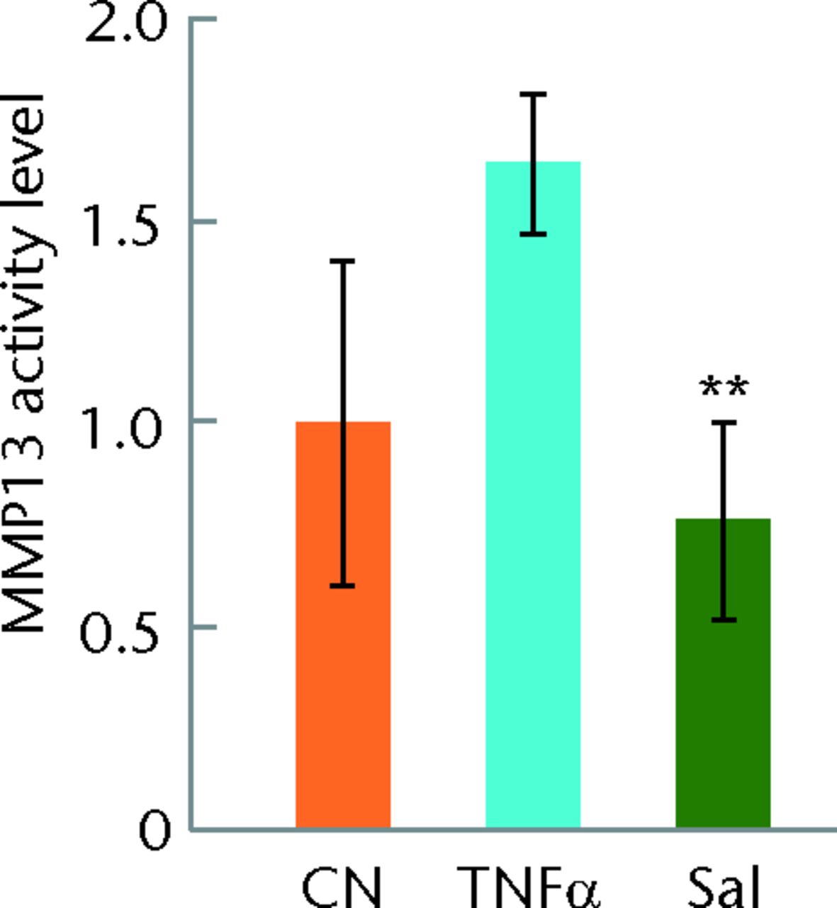 Figs. 1a - 1d 
            Graphs and staining
showing the response of human primary chondrocytes to tumour necrosis
factor alpha (TNFα) in the presence and absence of Salubrinal (Sal)
or Guanabenz (Gu), with a) activation of nuclear factor kappa B
(NFκB) by TNFα for 15 minutes and partial deactivation by Salubrinal,
b) matrix metalloproteinase (MMP)13 activity induced by TNFα and
suppressed by 5 µM Salubrinal, c) no detectable effect of Guanabenz
on the level of p-NFκB and d) no detectable change of MMP13 activity
by Guanabenz shown. CN, vehicle.
          