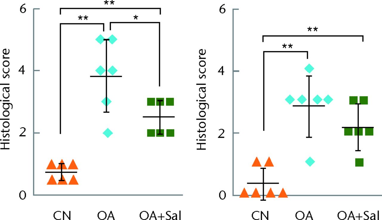 Figs. 3a - 3b 
            Graphs showing histological scores
for progression of osteoarthritis (OA), for a) medial femoral condyle
(MFC) (left) and medial tibial plateau (MTP) (right) three-week
samples (n = 6) and b) for MFC (left) and MTP (right) six-week samples
(n = 5 sham control, CN, 8 OA + placebo, and 7 OA + Salubrinal (Sal))
are shown; *p <
 0.05; **p <
 0.01.
          