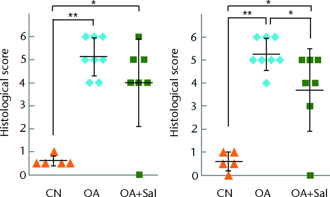 Figs. 3a - 3b 
            Graphs showing histological scores
for progression of osteoarthritis (OA), for a) medial femoral condyle
(MFC) (left) and medial tibial plateau (MTP) (right) three-week
samples (n = 6) and b) for MFC (left) and MTP (right) six-week samples
(n = 5 sham control, CN, 8 OA + placebo, and 7 OA + Salubrinal (Sal))
are shown; *p <
 0.05; **p <
 0.01.
          