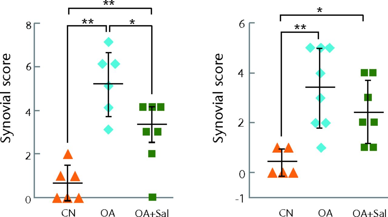 Figs. 4a - 4b 
            Graphs showing the effects of Salubrinal
on subchondral bone and synovium, with a) thickness of subchondral
bone in the medial femoral condyle (MFC) (left) and medial tibial
plateau (MTP) (right) (three weeks top row, six weeks bottom row)
and b) synovial score for three-week (left) and six-week (right)
samples. *p <
 0.05; **p <
 0.01.
          