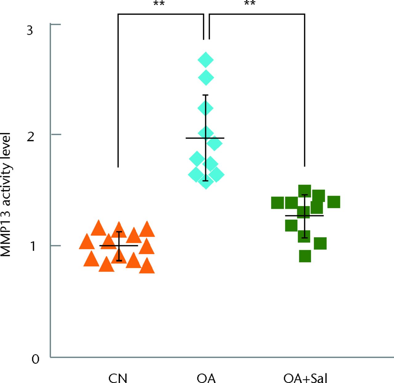 Figs. 5a - 5b 
            Graphs showing suppression of p-nuclear
factor kappa B (p-NFκB) p65 and activity of matrix metalloproteinase
13 (MMP13) by Salubrinal in a mouse model of osteoarthritis; (n
= 12 CN, sham control, 10 OA placebo, and 11 OA + Salubrinal (Sal)),
with a) attenuation of the level of p-NFκB p65 by Sal and b) suppression
of activity of MMP13 by Sal shown.
          