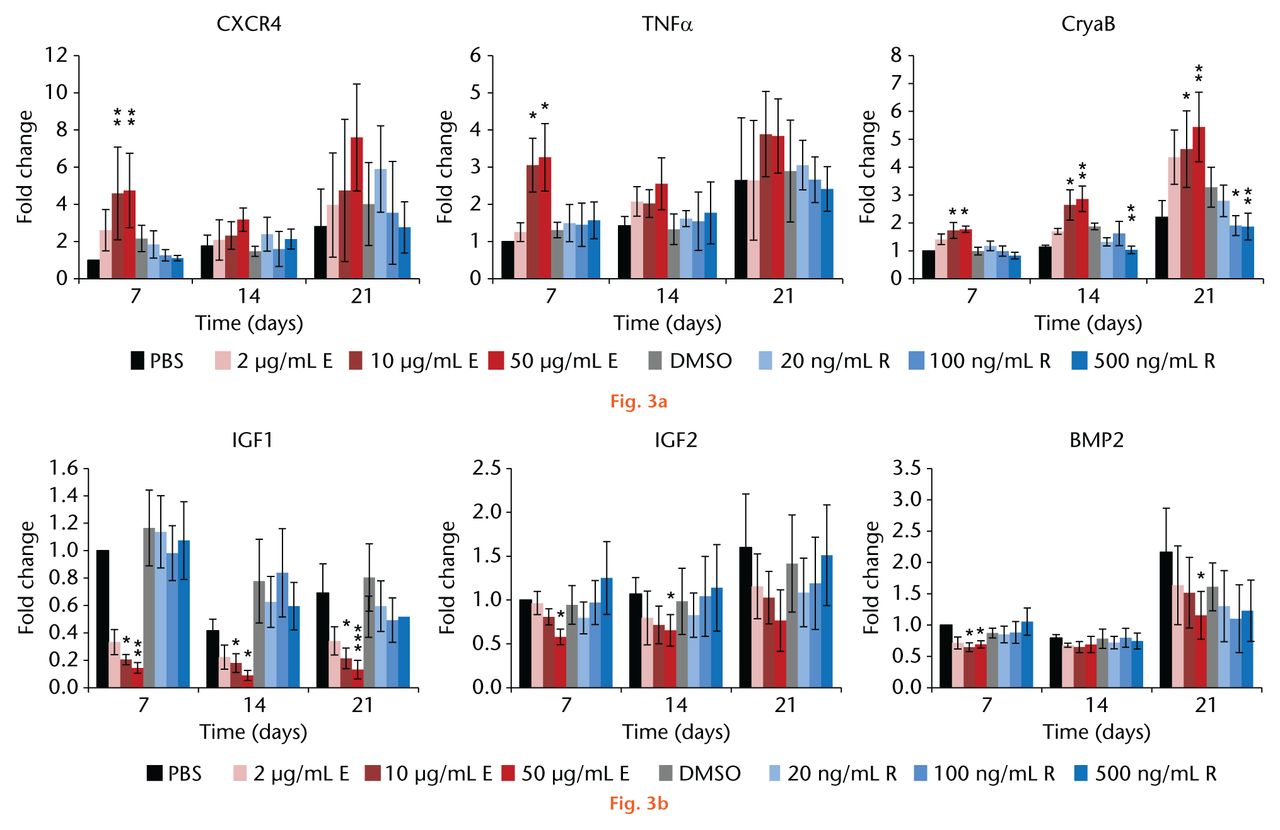  
            Enoxaparin treatment of the mesenchymal stromal cells significantly: a) upregulated the expression levels of migratory (C-X-C chemokine receptor type 4 (CXCR4), tumour necrosis factor alpha (TNFα), proliferative (TNFα) and stress markers (alpha-B-crystallin, CryaB) as well as b) downregulated early markers for osteogenic development (insulin-like growth factors 1 and 2 (IGF1, IGF2) and bone morphogenetic protein (BMP2)). Following two to three weeks of rivaroxaban treatment, a significant downregulation of CryaB expression was observed while other markers were not affected by rivaroxaban treatment. Asterisks show significance levels of Dunn’s multiple comparison post hoc tests (n = 8).
          