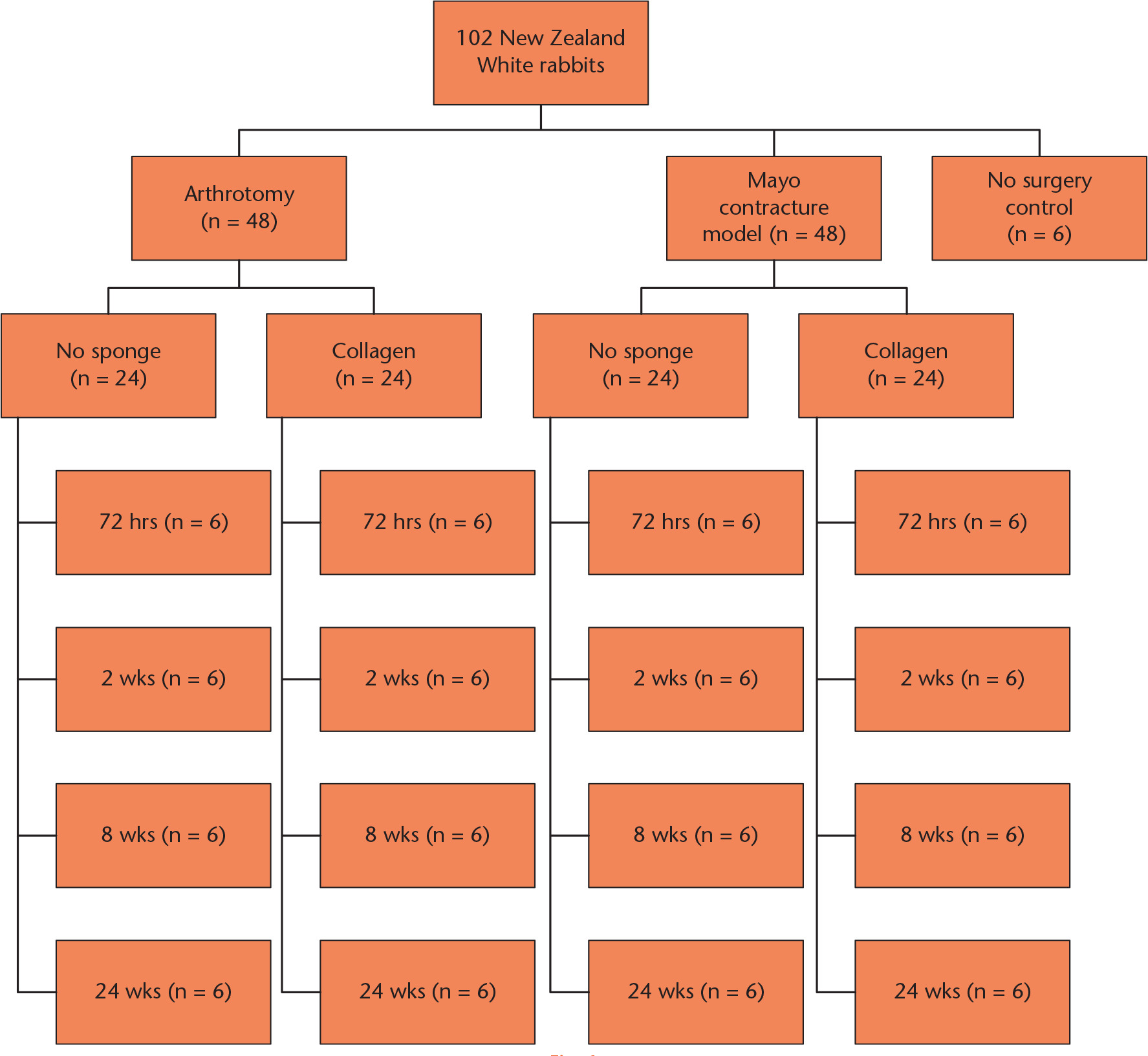 Fig. 1 
          Organisational chart demonstrating study design.
        