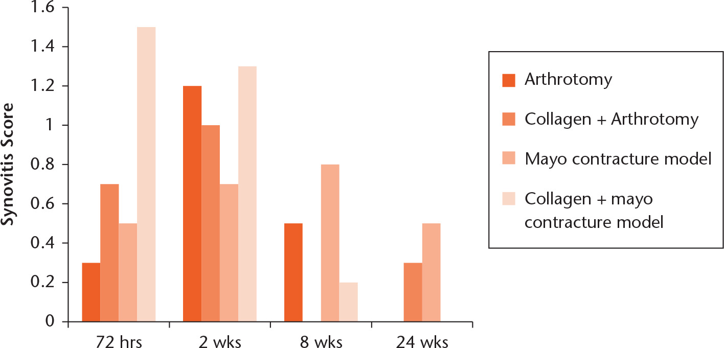 Fig. 6 
          Mean synovitis score by time and group (range 0 to 9). No significant difference was noted between any groups.
        