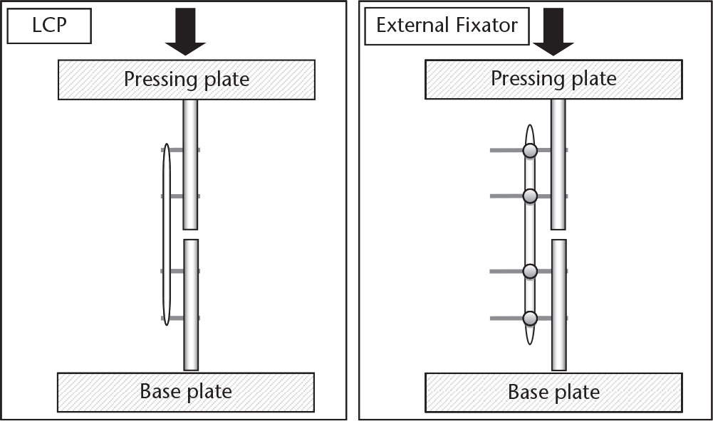 Fig. 2 
            Diagram of constructs undergoing loading.
          