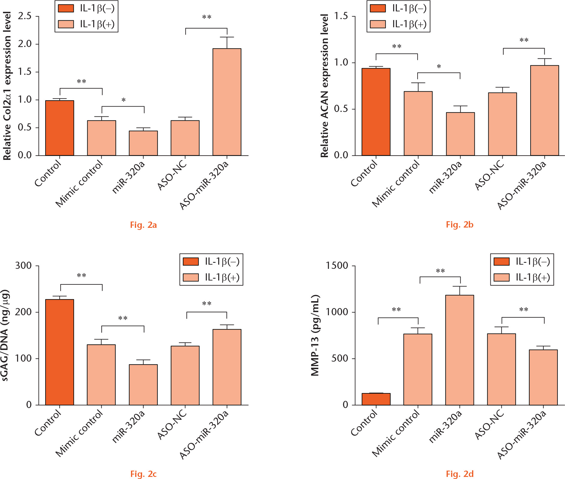  
            miR-320a overexpression enhanced IL-1β-induced matrix degradation factors. C28/I2 cells were transfected either with miR-320a or ASO-miR-320a and then stimulated with IL-1β. mRNA level expressions of (a) Col2α1 and (b) ACAN were determined by RT-PCR. The concentrations of (c) sGAG and (d) MMP-13 were measured using the Blyscan sGAG Assay Kit and MMP-13 ELISA kit. *, p < 0.05; **, p < 0.01. Statistical analysis was performed using two-tailed paired t-test.
          