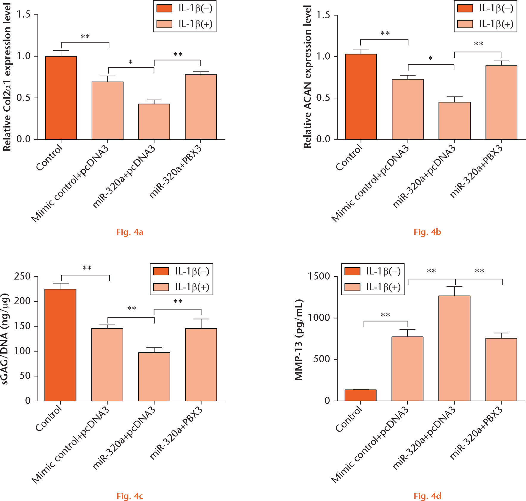  
            miR-320a overexpression enhanced IL-1β-induced matrix degradation by targeting PBX3. C28/I2 cells were transfected with miR-320a and/or PBX3 vector and then stimulated with IL-1β. mRNA level expressions of (a) Col2α1 and (b) ACAN were determined by RT-PCR. The concentrations of (c) sGAG and (d) MMP-13 were measured by Blyscan sGAG Assay Kit and MMP-13 ELISA kit, respectively. *, p < 0.05; **, p < 0.01. Statistical analysis was performed using two-tailed paired t-test.
          