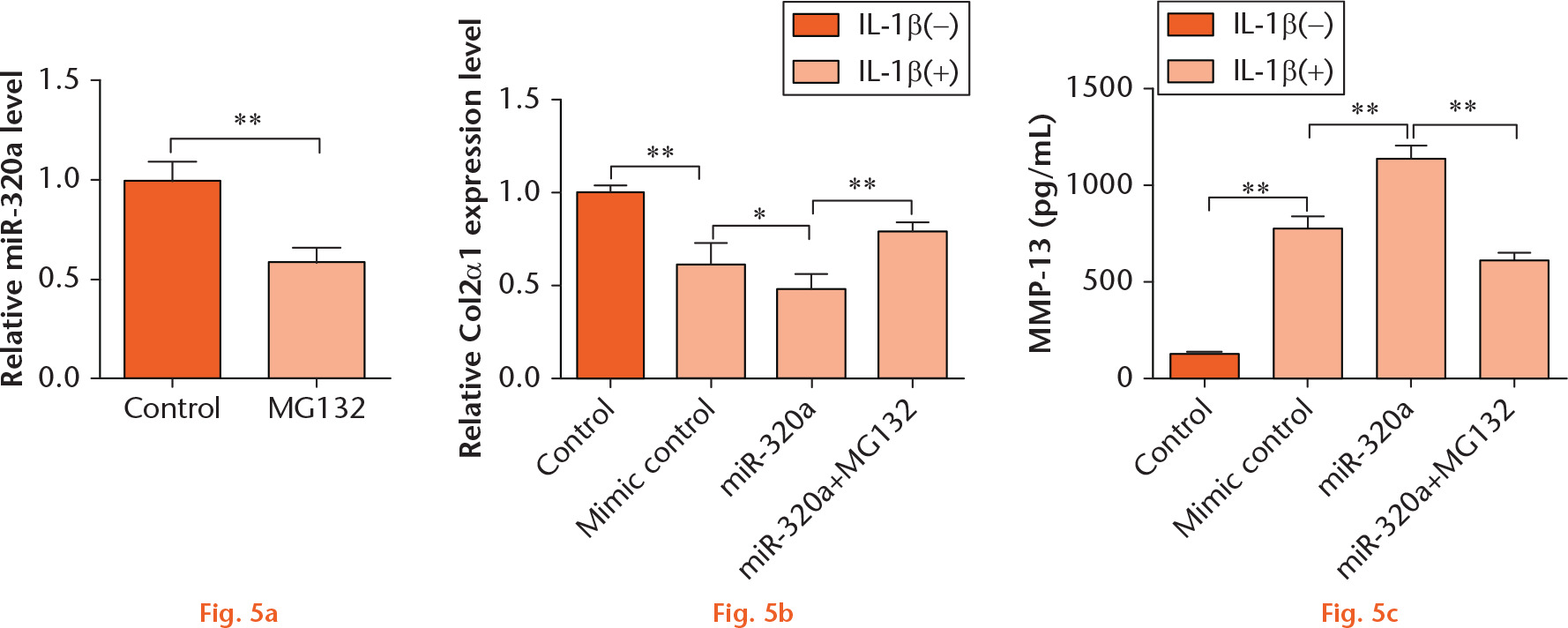  
            miR-320a overexpression enhanced IL-1β-induced matrix degradation by regulating NF-κB. (a) C28/I2 cells were treated with MG132 for 24 hours, and the expression of miR-320a was monitored by RT-PCR. C28/I2 cells were transfected with miR-320a and/or treated with MG132, and the expression of (b) Col2α1 and the concentration of MMP-13 (c) were measured by RT-PCR and MMP-13 ELISA kit, respectively. *, p < 0.05; **, p < 0.01. Statistical analysis was performed using two-tailed paired t-test.
          