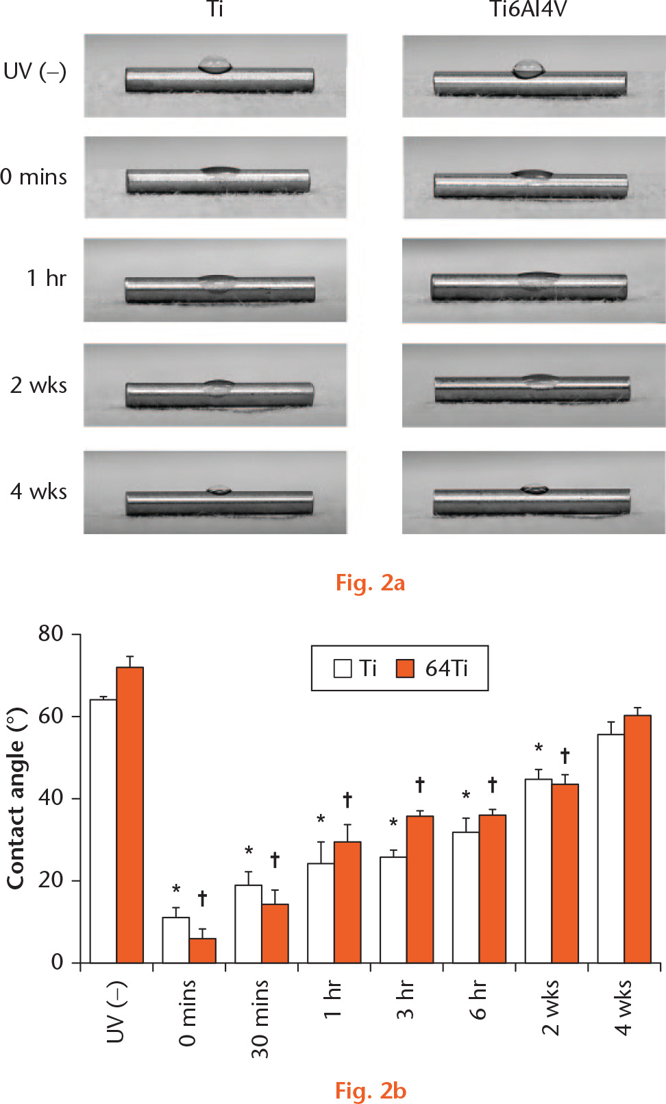  
            Hydrophilicity changed after UV irradiation as evaluated by measurement of the contact angle. a) Photographic images showed that a drop of water was deposited onto the Ti and Ti6Al4V surfaces. b) The contact angle of the Ti and Ti6Al4V surfaces exhibited hydrophobicity before UV irradiation and then exhibited hydrophilicity after UV irradiation. The contact angle of both surfaces showed an age-dependent reduction in hydrophilicity. *p < 0.05 (paired t-test), *Ti immediately vs 0 minutes, 30 minutes, 1 hour, 3 hours, 6 hours, and 2 weeks after UV irradiation; †Ti6Al4V or immediately vs 0 and 30 minutes, one, three and six hours and two weeks after UV irradiation (n = 3).
          