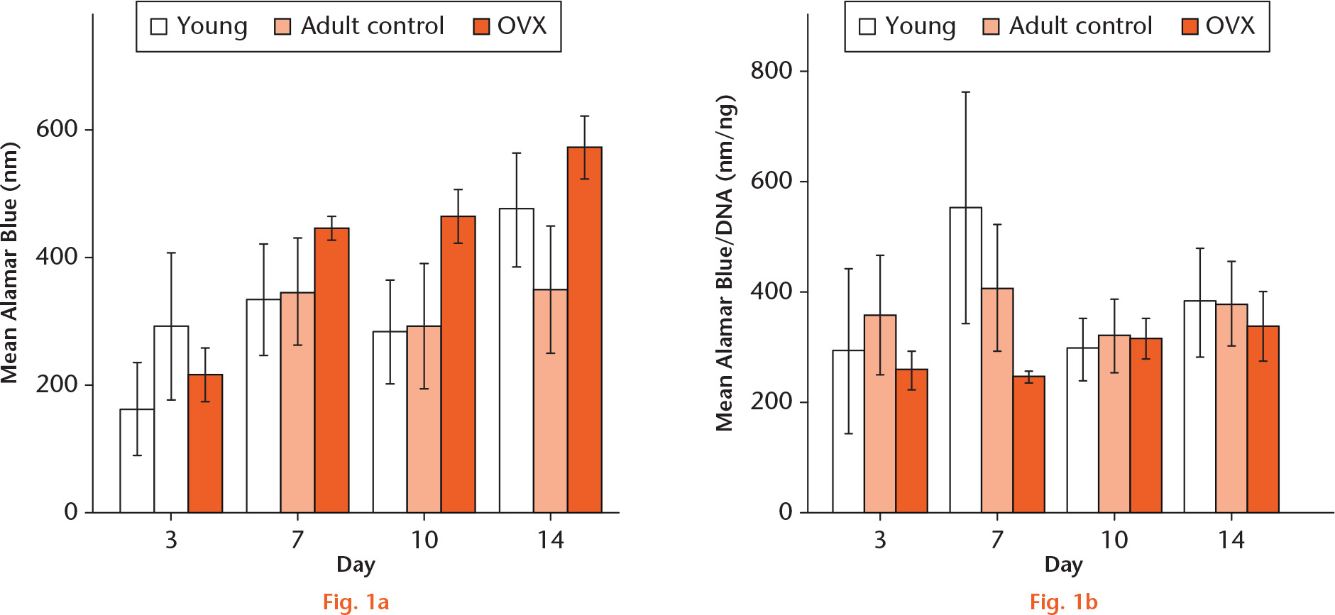  
            Graphs showing: a) the mean Alamar Blue measurements of mesenchymal stem cells from young, adult control, and ovariectomized rats at day three, seven, ten, and 14 (n = 3); and b) mean Alamar Blue readings normalized against DNA to reflect their metabolic activity. No statistical significance was found.
          