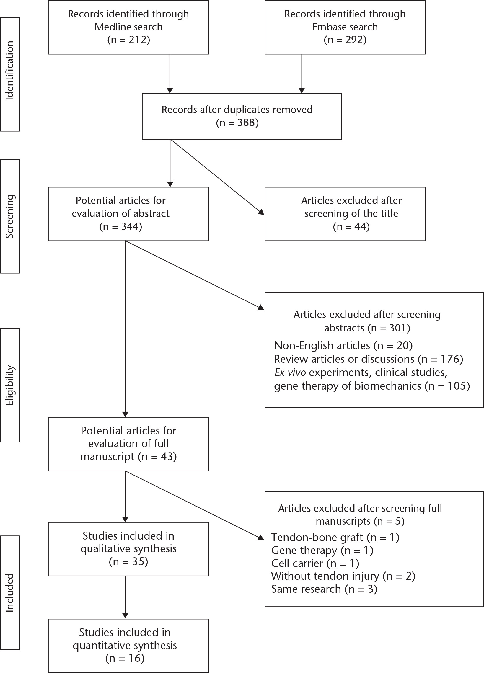 Fig. 1 
            Flowchart showing the selection process.
          