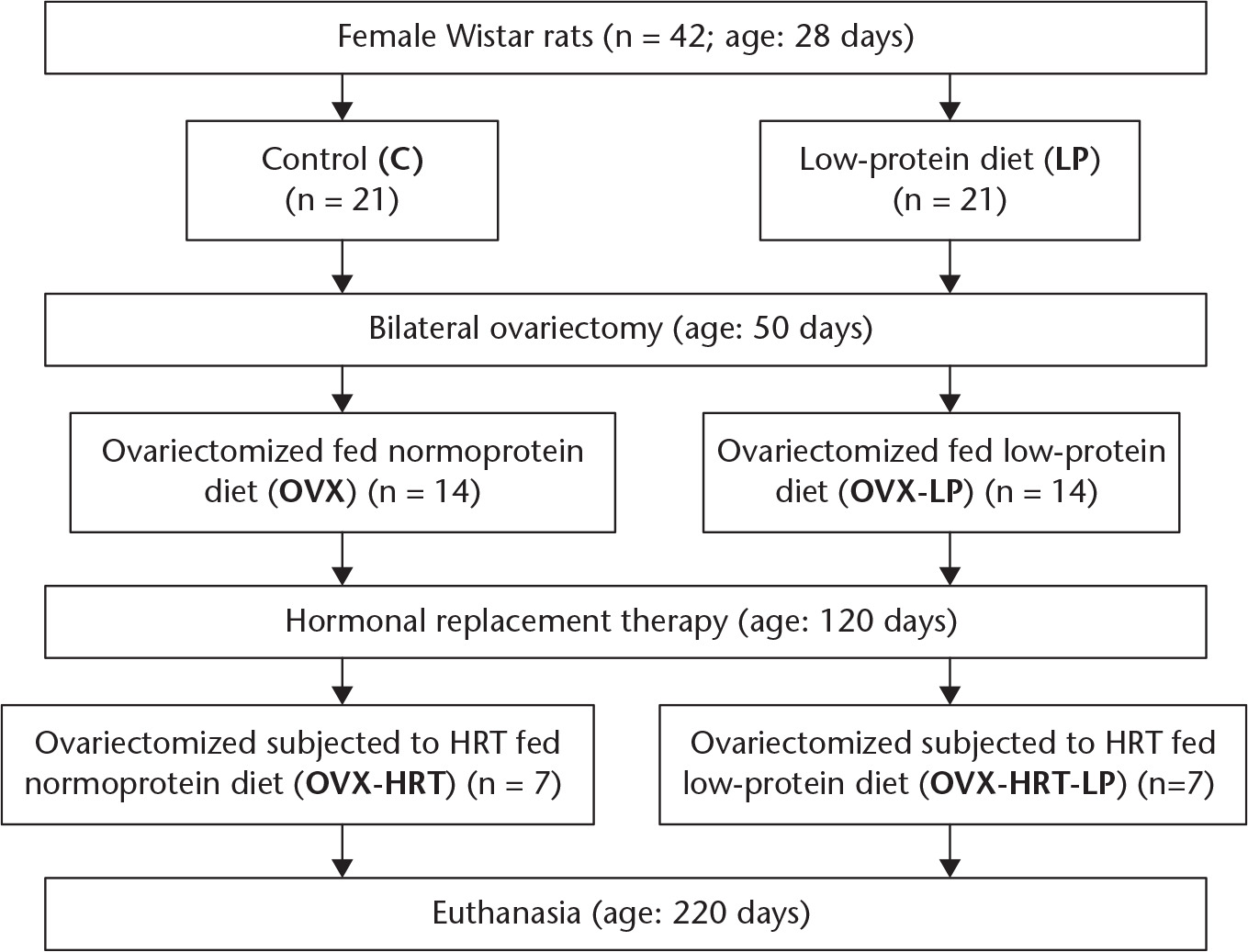 Fig. 1 
            Experimental protocol.
          