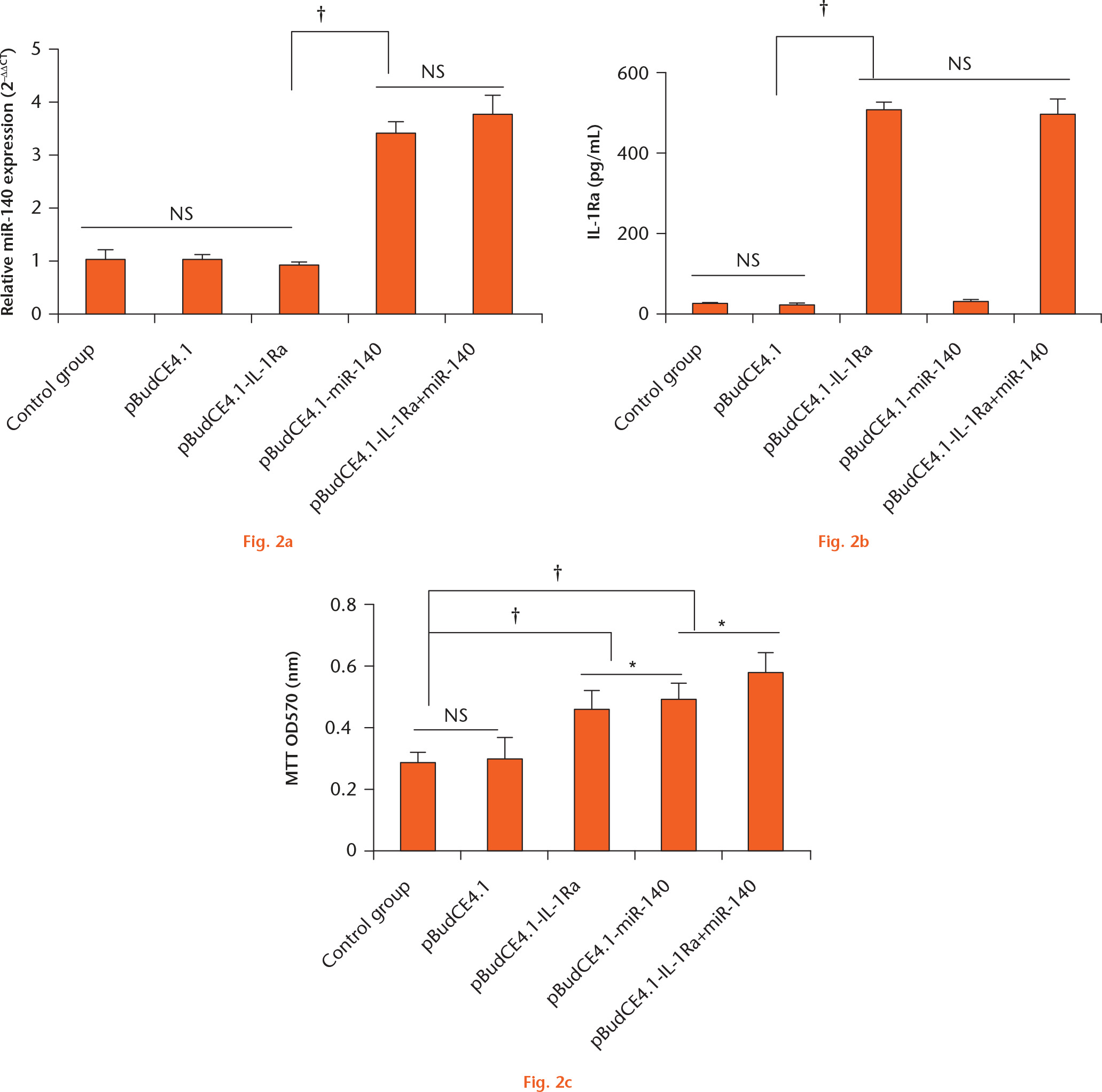 Fig. 2 
            Graphs showing the effect on rabbit chondrocyte proliferation of a) interleukin-1 receptor antagonist protein (IL-1Ra) and b) miR-140 expression. The relative miR-140 expression level in different groups was determined by real-time fluorescent quantitative polymerase chain reaction (RT-qPCR). miR-140 gene expression in each group was normalized to the U6 expression level. The IL-1Ra concentration in the cell supernatant was analyzed by enzyme-linked immunosorbent assay (ELISA). c) Graph showing rabbit chondrocyte cell proliferation in vitro by the MTT method. The data are shown as mean values and standard deviations. *p < 0.05; †p < 0.01; NS, not significant.
          