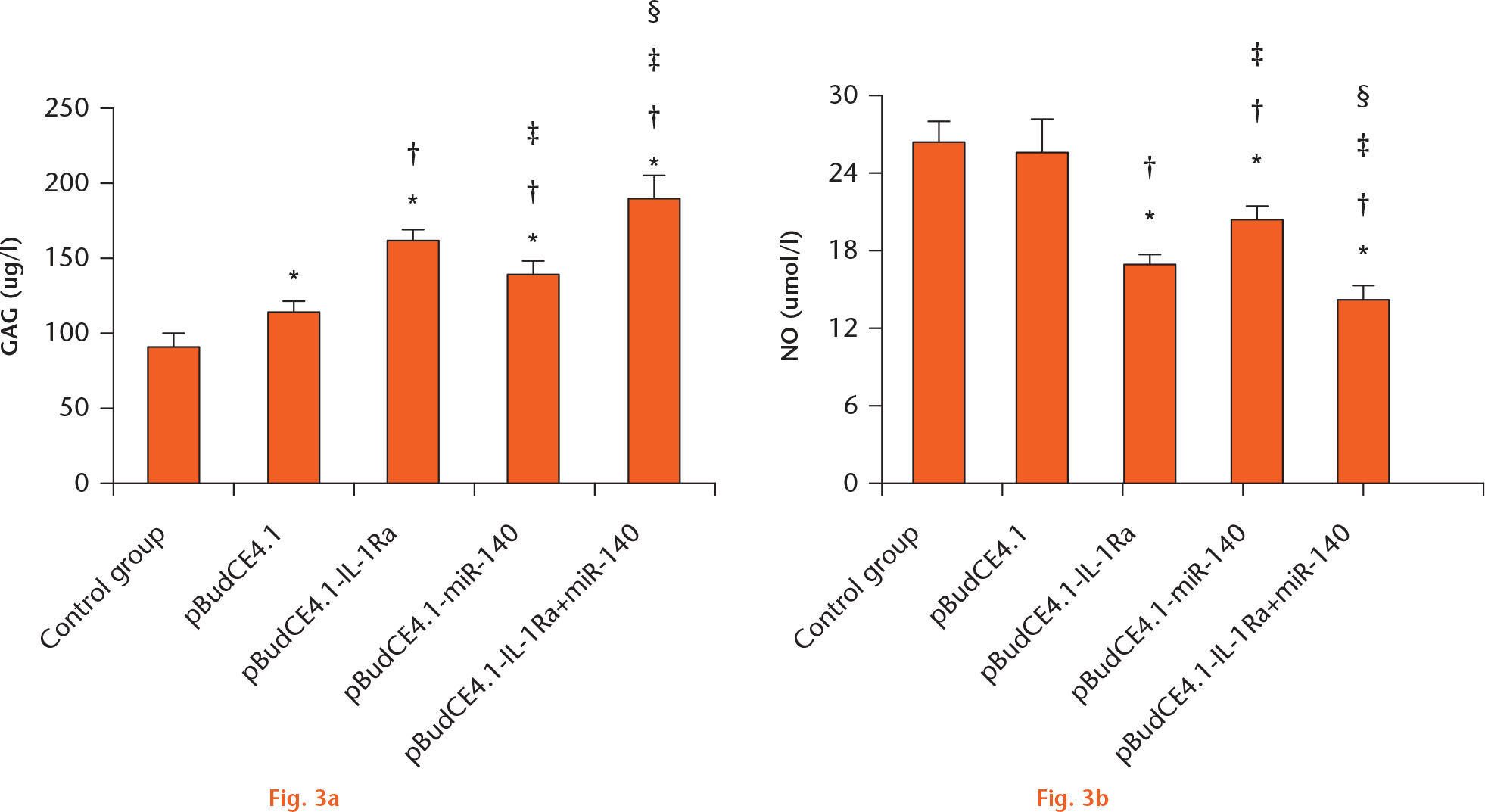 Fig. 3 
            Graphs showing a) glycosaminoglycan (GAG) and b) nitric oxide (NO) concentrations in the cell supernatant. The GAG concentration in the cell supernatant was measured by enzyme-linked immunosorbent assay (ELISA). The NO levels in the cell supernatant were measured by a nitrate reductase assay. The data are shown as mean values and standard deviations. *p < 0.05 versus control group; †p < 0.05 versus pBudCE4.1; ‡p < 0.05 versus pBudCE4.1-IL-1Ra; §p < 0.05 versus pBudCE4.1-miR-140.
          