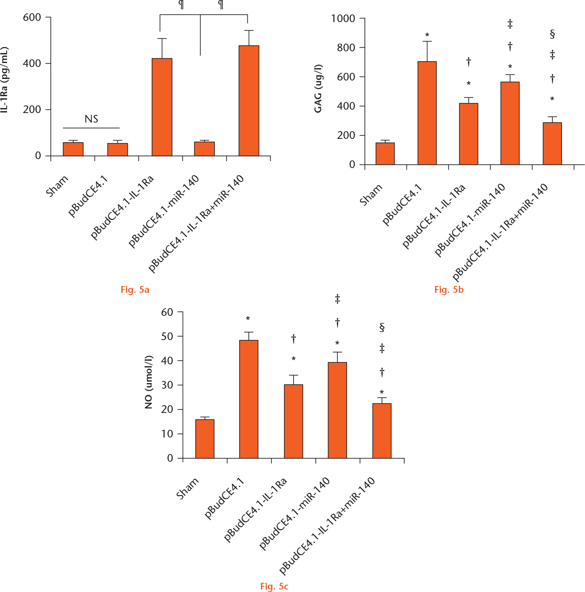 Fig. 5 
            Graphs showing synovial fluid concentrations of: a) interleukin-1 receptor antagonist protein (IL-1Ra); b) glycosaminoglycan (GAG); and c) nitric oxide (NO). The concentration of IL-1Ra and GAG was determined by enzyme-linked immunosorbent assay (ELISA). The NO concentration was measured by a nitrate reductase assay. The data are shown as mean values and standard deviations. *p < 0.05 versus control group; †p < 0.05 versus pBudCE4.1; ‡p < 0.05 versus pBudCE4.1-IL-1Ra; §p < 0.05 versus pBudCE4.1-miR-140; NS, not significant.
          