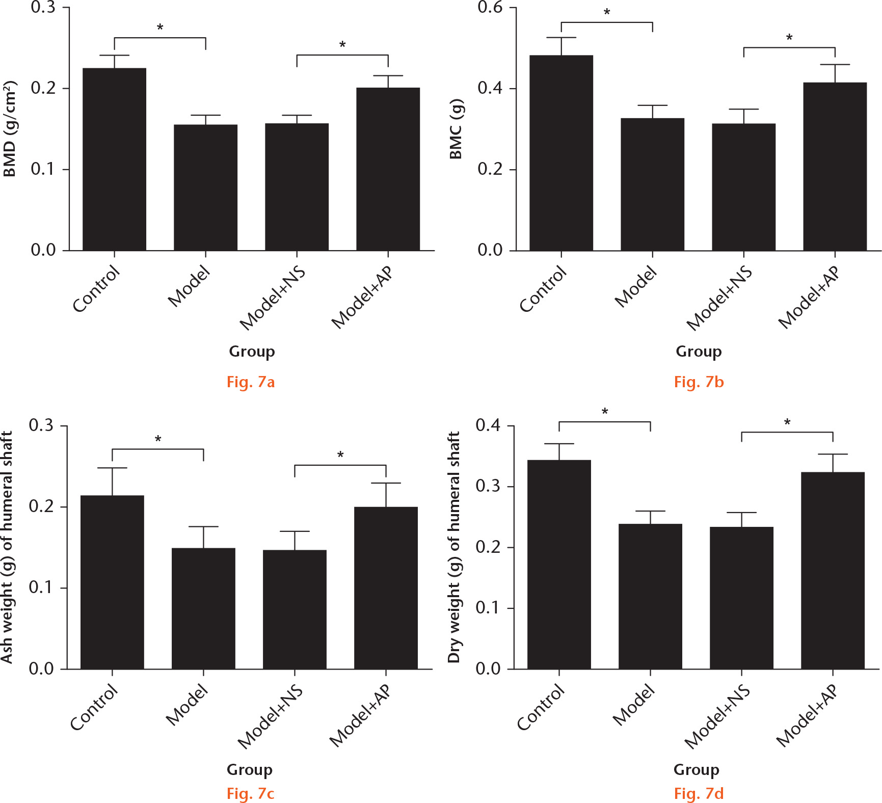 Fig. 7 
            Effect of angelica polysaccharide (AP) on bone formation in vivo. A total of 40 rats were randomly divided into four groups: control; Model; Model+NS; and Model+AP (n = 10). a) Bone mineral density (BMD) and b) bone mineral content (BMC) were measured by Hologic 2000 Plus densitometer (Hologic, Waltham, Massachusetts). The c) ash weight and d) dry weight of femoral bone were measured by an electronic balance. *p < 0.05.
          