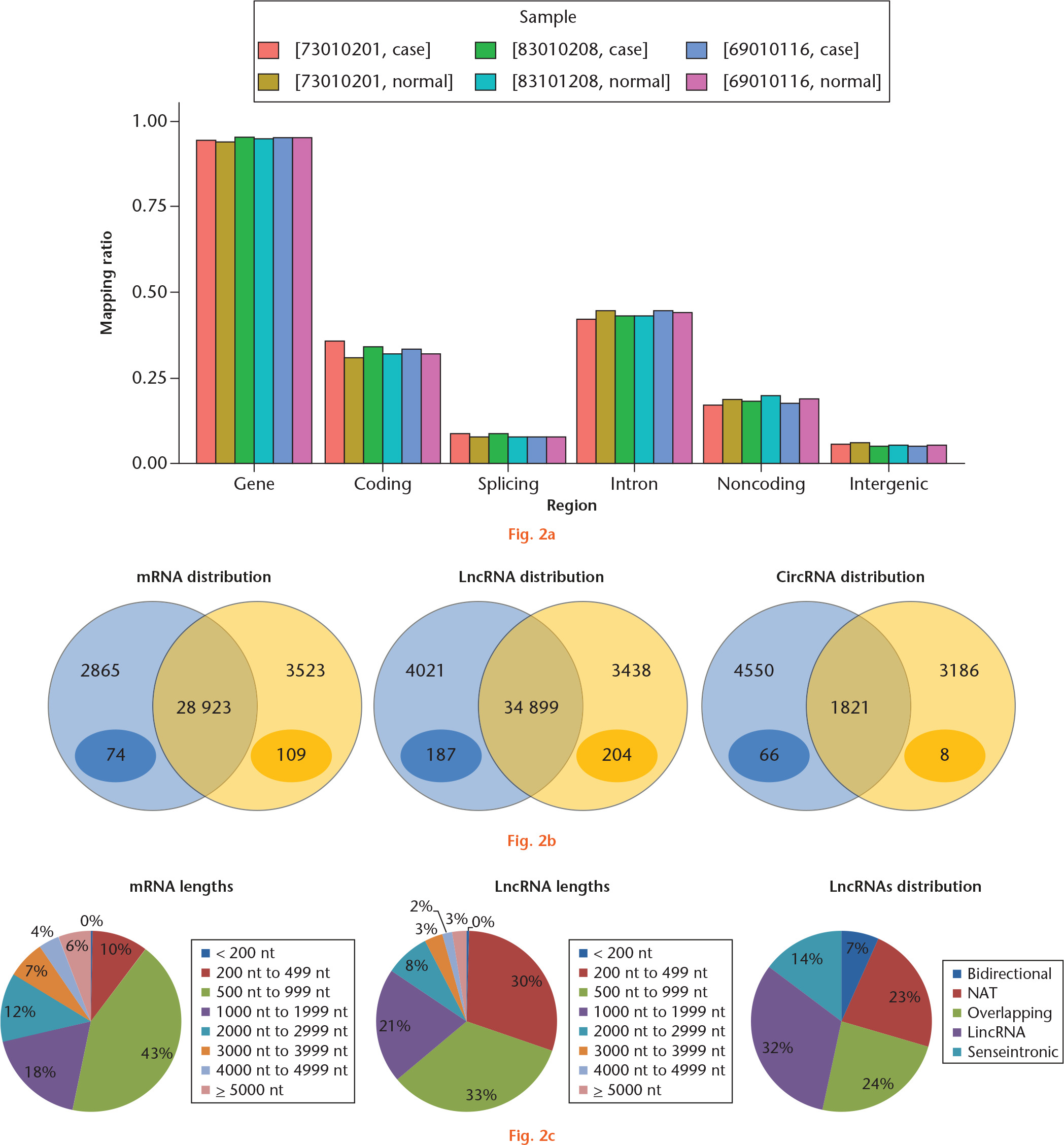 Fig. 2 
            Whole-transcriptome profile of human articular cartilage. a) Chart showing the distribution of all the mapped reads in genome. b) Venn diagram of messenger RNAs (mRNAs), long noncoding RNAs (lncRNAs), and circular RNAs (circRNAs) in normal and osteoarthritic (OA) tissue of knee articular cartilage. Data in light blue and light yellow circles represent the number of genes expressed in the normal group and OA group, respectively. Data in deep blue ovals represent the number of genes that were expressed in each tissue of the normal group and in neither tissue of the OA group, while data in deep yellow ovals represent the number of genes that were expressed in each tissue of the OA group and in neither tissue of the normal group. c) Distribution and lengths of mRNAs and lncRNAs in whole-transcriptome profiles of human articular cartilage. NAT, natural antisense transcript; LincRNA, intergenic lncRNA.
          