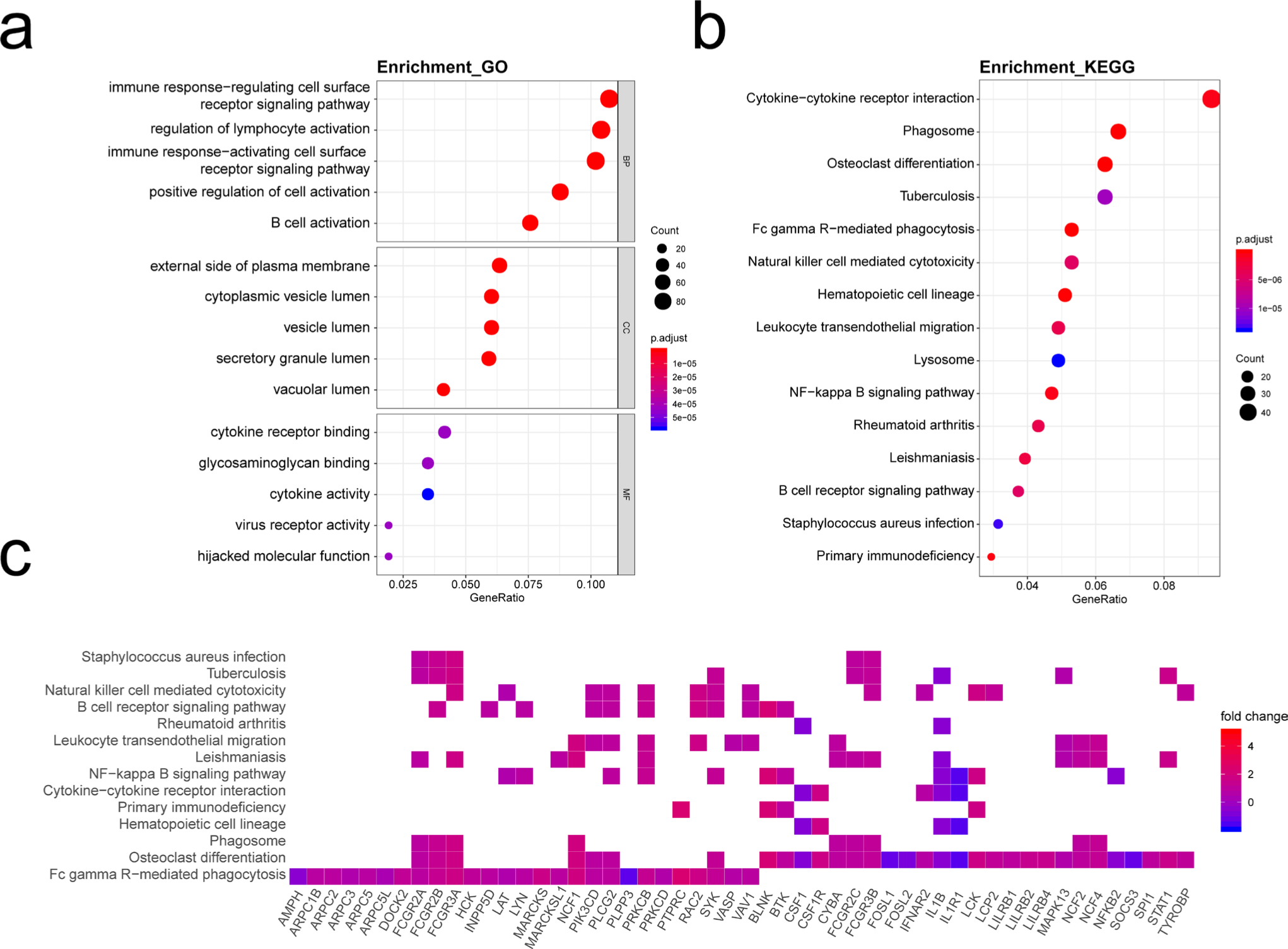 Fig. 5 
            Functional annotation of greenyellow module. a) Gene ontology (GO) term enrichment and b) Kyoto Encyclopedia of Genes and Genomes (KEGG) pathway analysis of greenyellow module. GeneRatio indicates the gene number ration in each of the GO functions and KEGG pathways. The colour and size of each dot represents a p-value adjusted using the Benjamini and Hochberg method and gene number assigned to the corresponding GO term and KEGG pathway, respectively. c) Heatmap plot of enriched genes in KEGG pathways. BP, biological process; CC, cellular component; MF, molecular function; NF-kappa B, nuclear factor kappa-light-chain-enhancer of activated B cells.
          