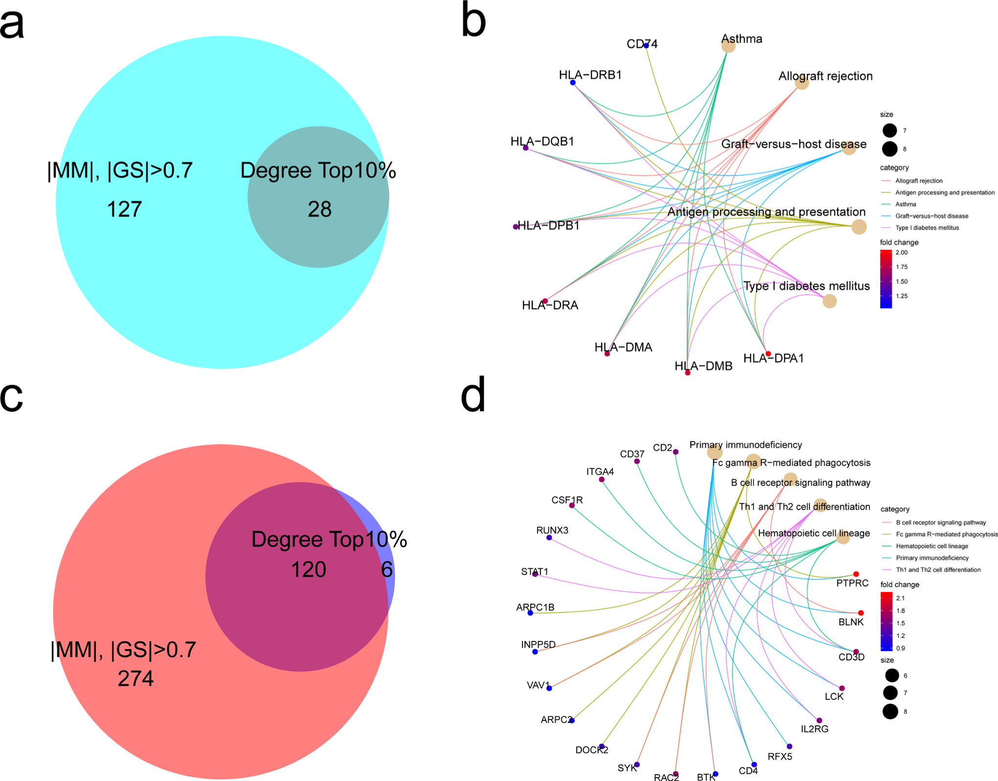 Fig. 6 
            Identification of hub genes in rheumatoid arthritis (RA)-related modules. The overlap of top 10% genes in the rank of degree and the genes with both absorb value of Module Membership (MM) and Gene Significance (GS) larger than 0.7 and p-value larger than 0.01 in the a) green module and c) greenyellow module. The hub genes related to enriched pathways are shown in the b) green module and d) greenyellow module. Th, T helper cell.
          