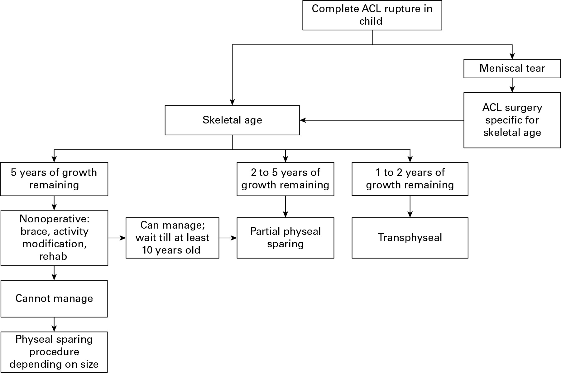 Fig. 5 
          Surgical strategy. Treatment should be based on: symptoms of instability, patient’s activity level and goals, associated injuries, skeletal age, and remaining growth.
        