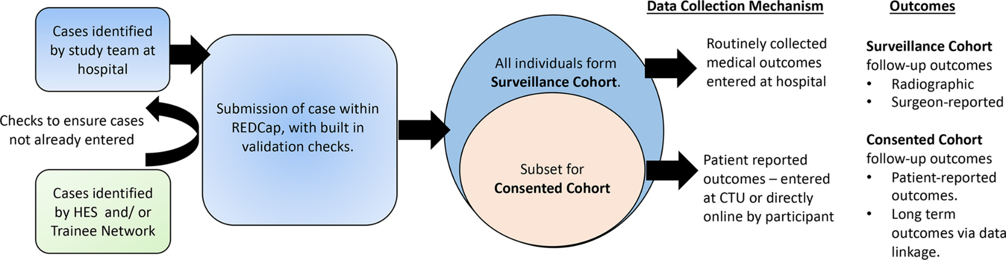 Figure. 1 
          Overview of the study mechanism.
        