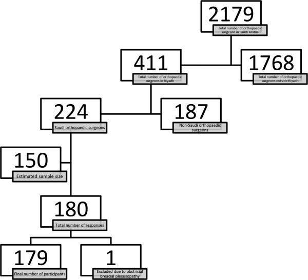 Figure 1 
            Flow diagram of the study participants.
          