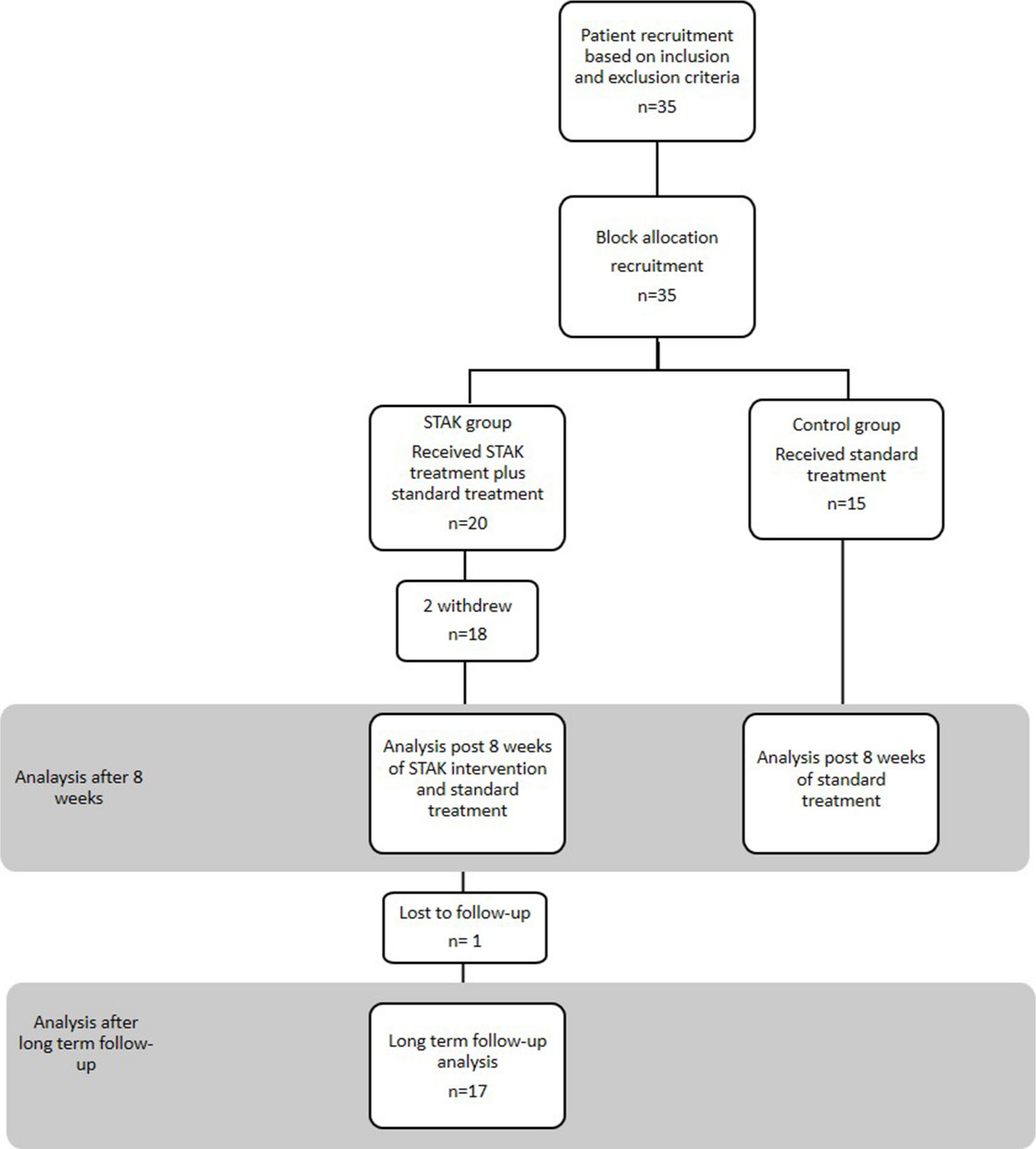 Fig. 1 
          Flowchart demonstrating patient recruitment, allocation and follow-up.
        