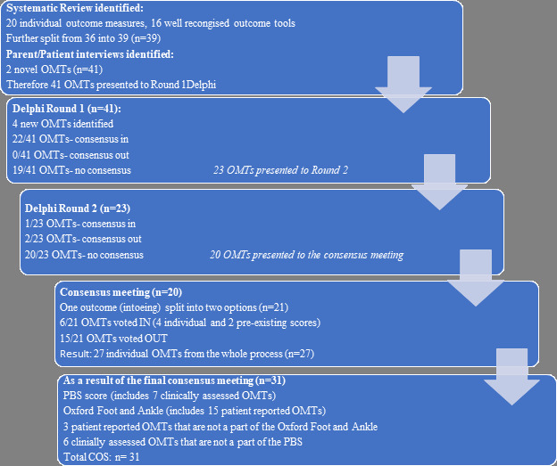 Fig. 1 
          Flowchart of the core outcome set process, and the outcomes identified.
        