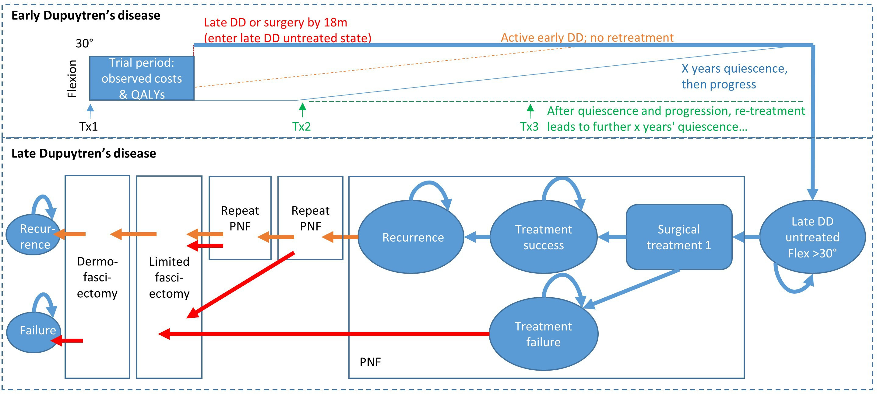 Fig. 1 
            Model structure. The model simulates disease history for individual RIDD participants at discrete six-month time intervals. Once 18 months pass following initial treatment, individual patients either continue to have progressive early-stage Dupuytren’s disease (DD), enter quiescent early-stage DD, or progress to late-stage DD; the probability of each outcome varies between treatments. Patients with late-stage DD progress directly to the untreated late-stage DD state. Quiescent patients have no change in flexion deformity for a certain number of years (see Table I). After that period, they will either be retreated or have progressive early-stage DD (depending on treatment group). Patients with progressive early-stage DD experience progressive changes in flexion deformity (although these are shown as linear in the figure, in practice the change in flexion deformity during each six-month period varies stochastically and may be negative). When the flexion deformity exceeds 30°, patients enter the untreated late-stage DD state. In late-stage DD, patients may undergo a prespecified series of surgical procedures. In the base case analysis, this comprised up to three percutaneous needle fasciotomies (PNF), no more than one limited fasciectomy and no more than one dermofasciectomy. Patients who failed any PNF procedure and opted for further surgery received limited fasciectomy rather than PNF. Transitions in late-stage DD were modelled using the Markov disease states used by Brazzelli et al,4 although our model captures longer sequences of surgical interventions. The model also allows for death from any disease stage.
          