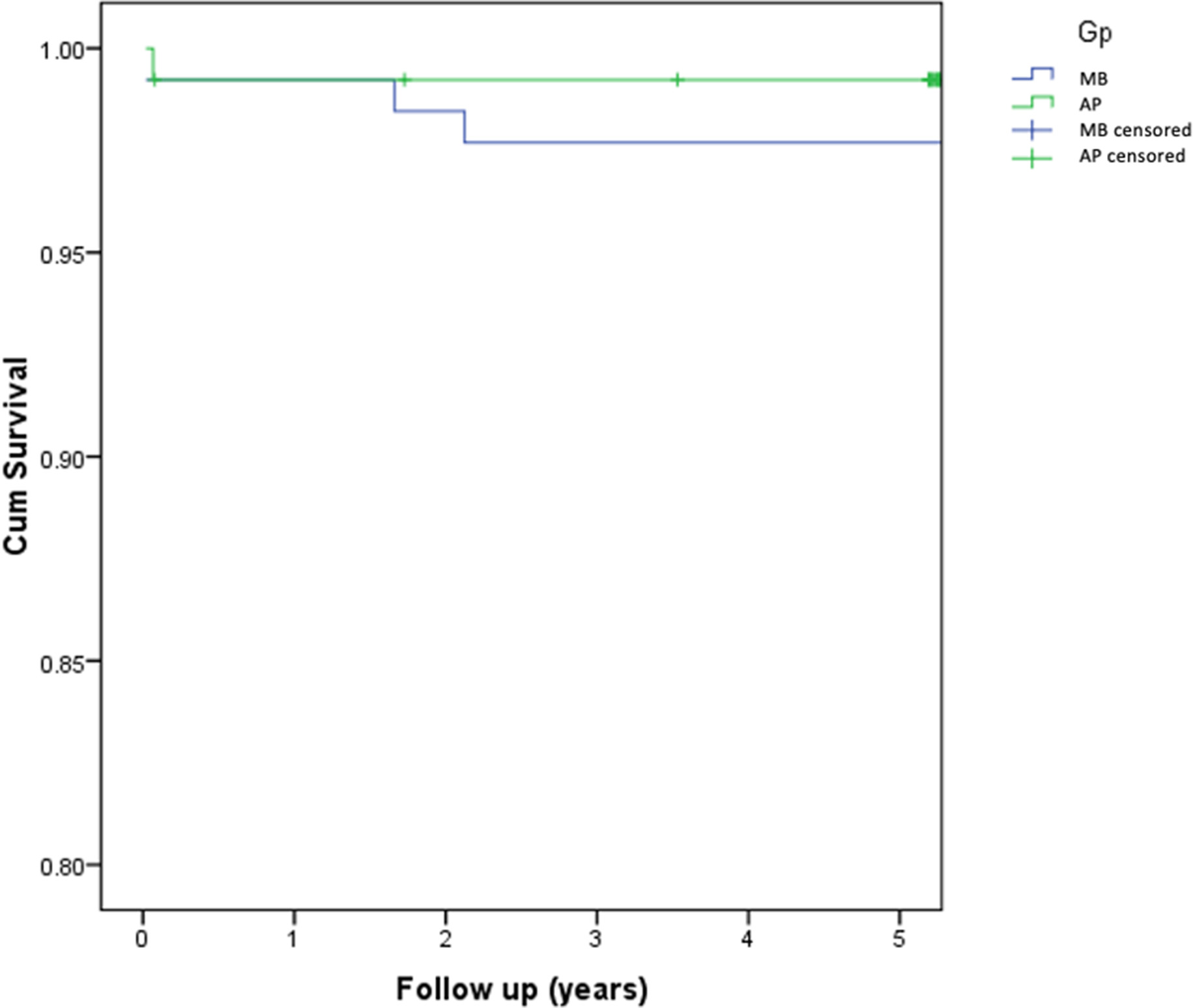 Fig. 3 
            Kaplan-Meier survival estimate. AP, all-polyethylene; Gp, group; MB, metal-backed.
          