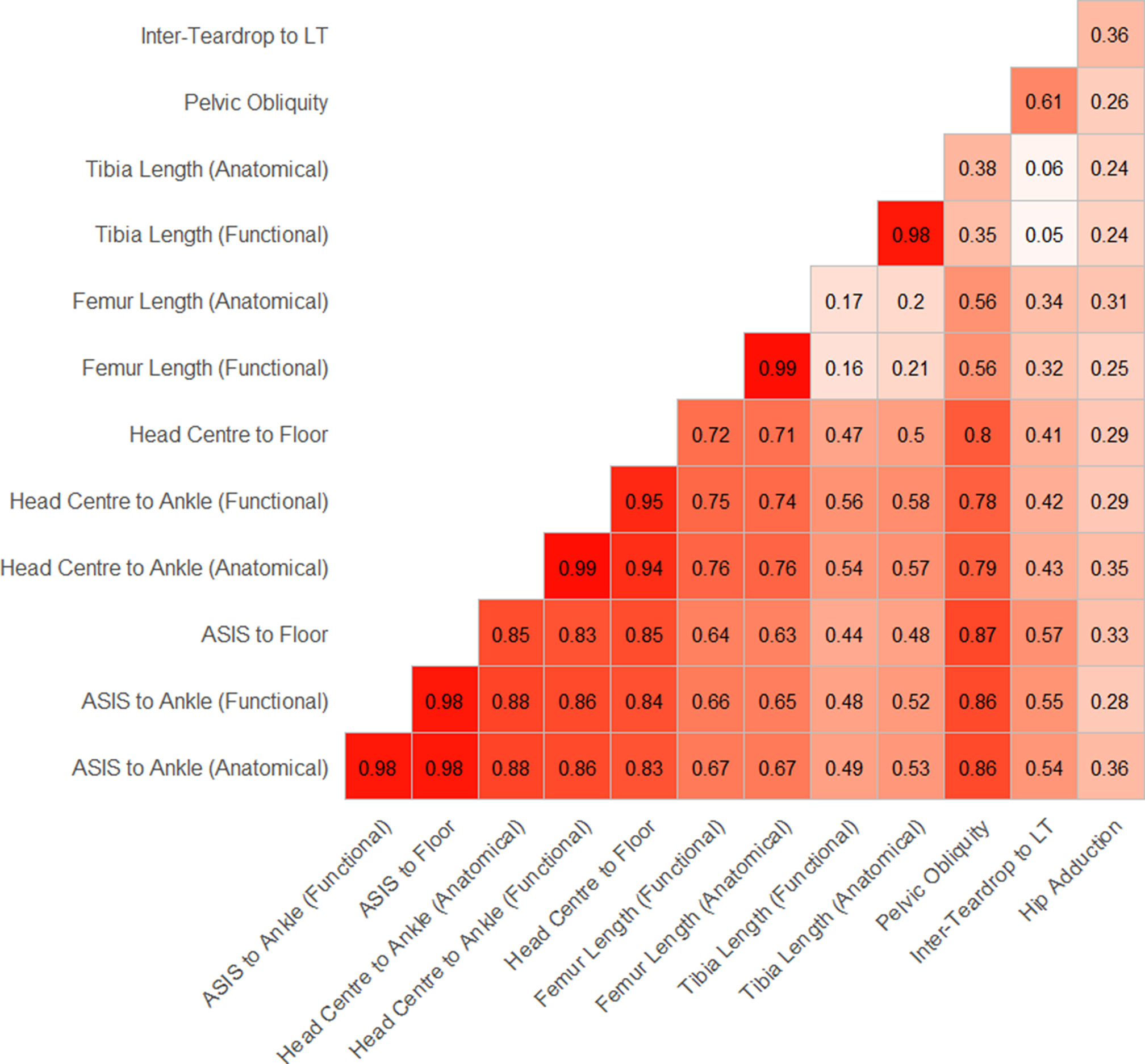 Fig. 2 
          Correlogram showing the linear correlation between all measurements.
        