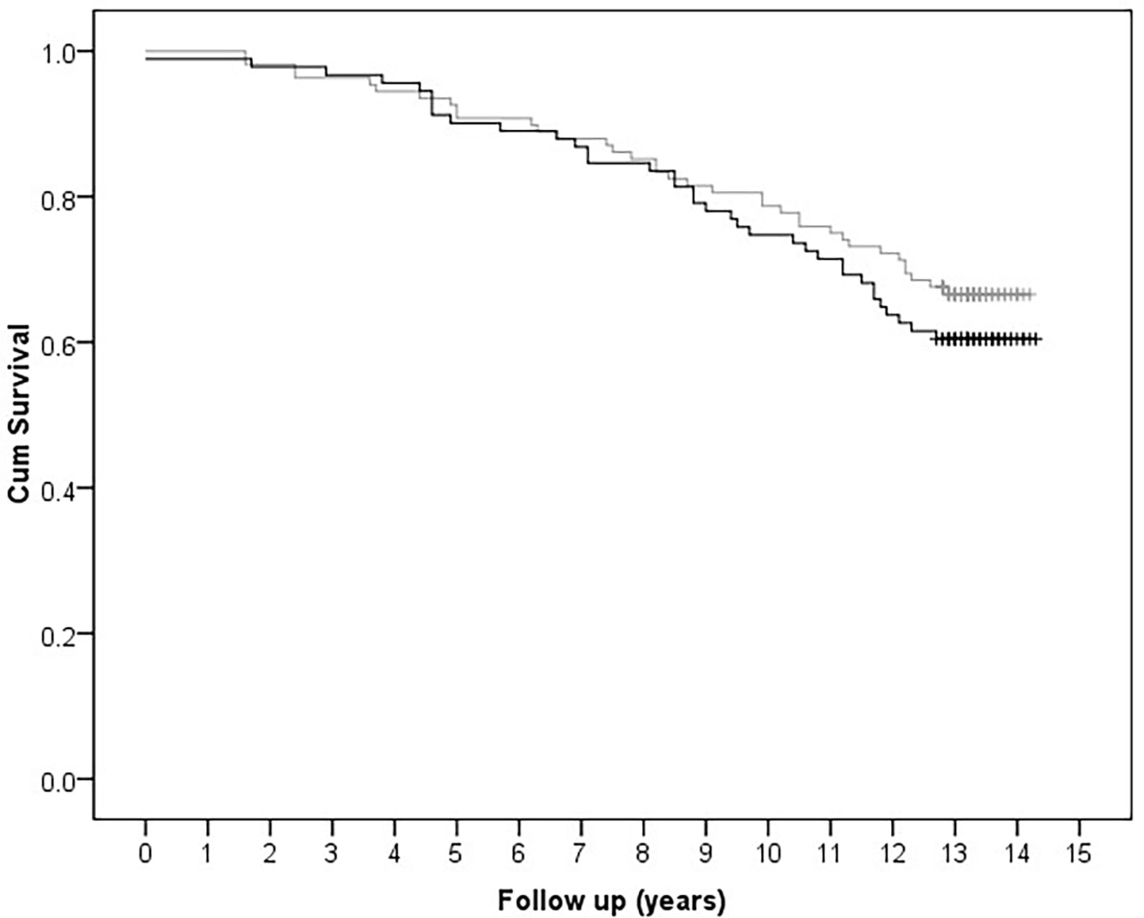 Fig. 3 
          Kaplan-Meier curve for patient survival for the Triathlon (grey) and Kinemax (black) groups (Stryker, USA). There were 72 deaths during the follow-up period.
        