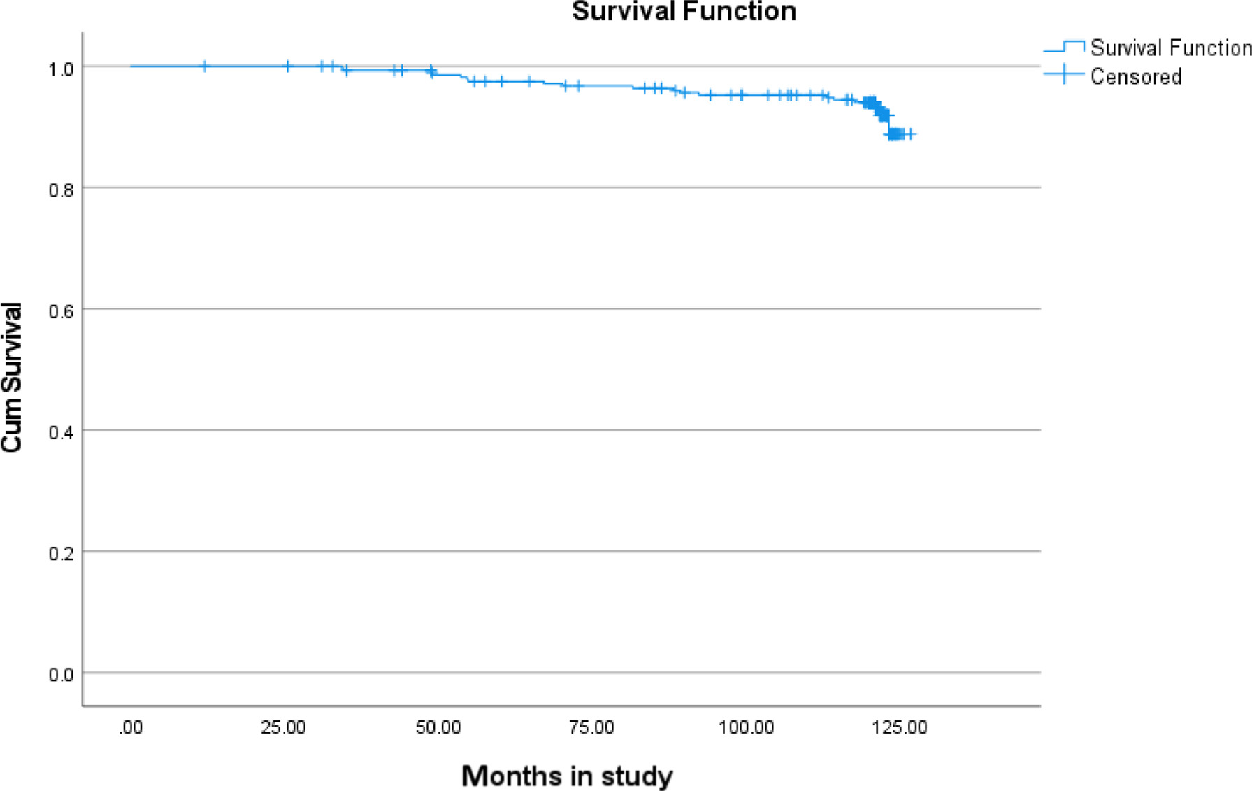 Fig. 2 
            Survival curve for ceramic-on-metal implants.
          