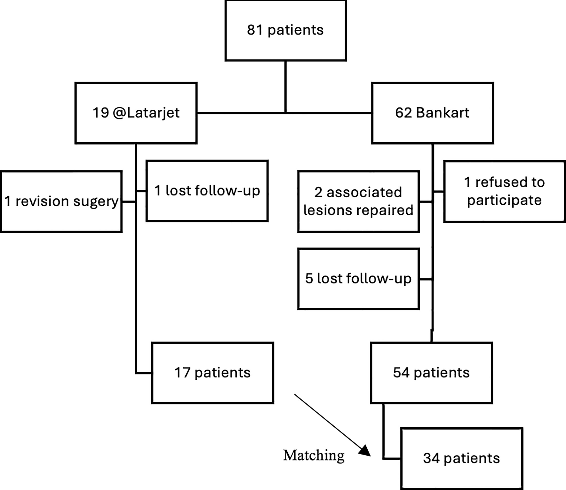 Fig. 1 
            STROBE flowchart of participant enrolment.
          