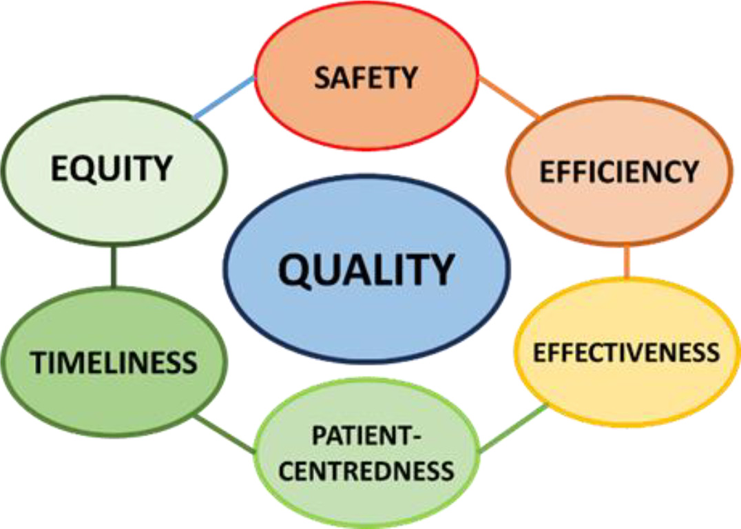 Fig. 3 
          Institute of Medicine’s six dimensions of quality care.
        