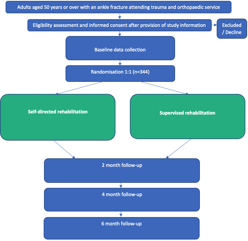 Fig. 1 
          Participant flow through the study.
        